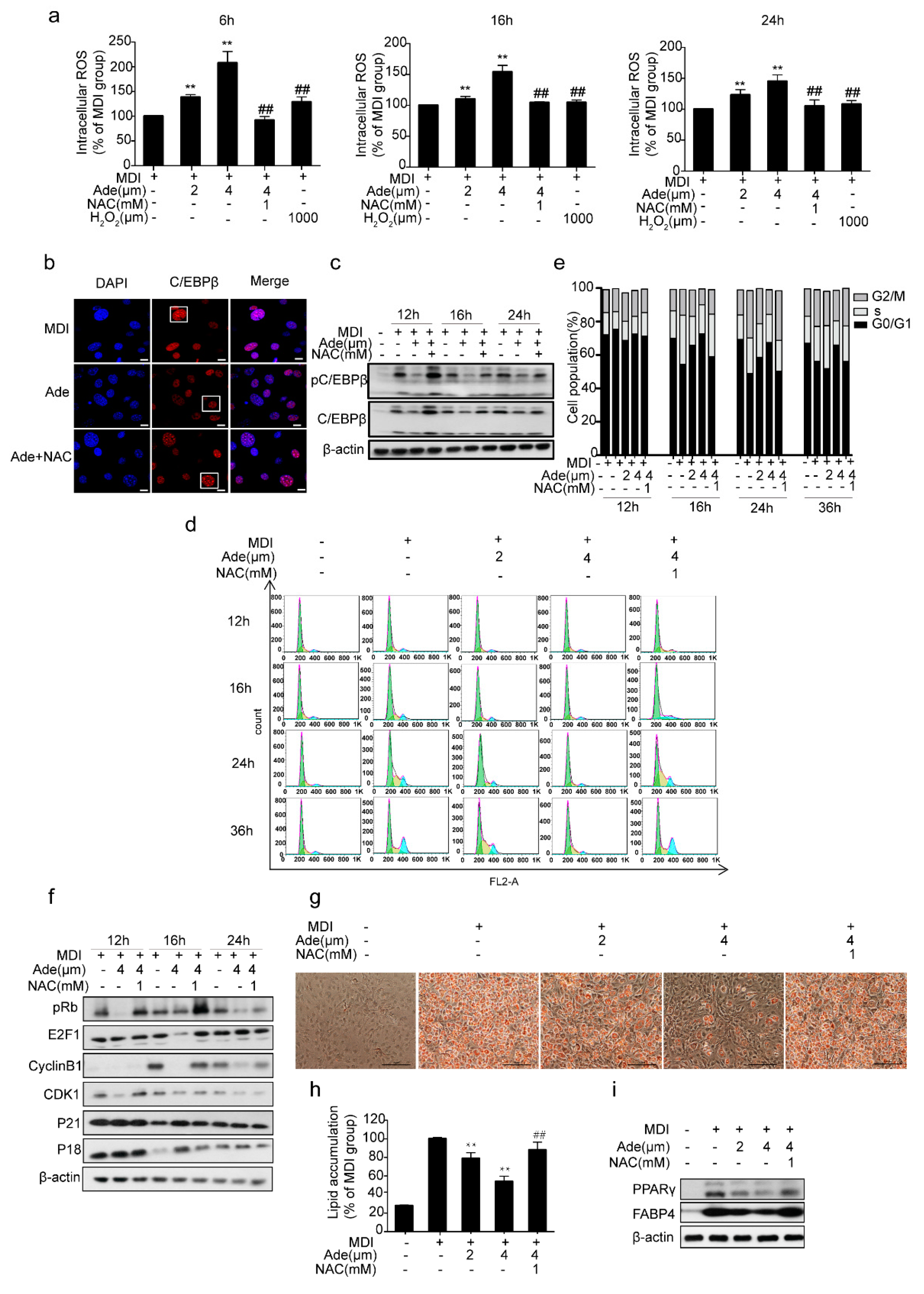 Molecules 24 00158 g004