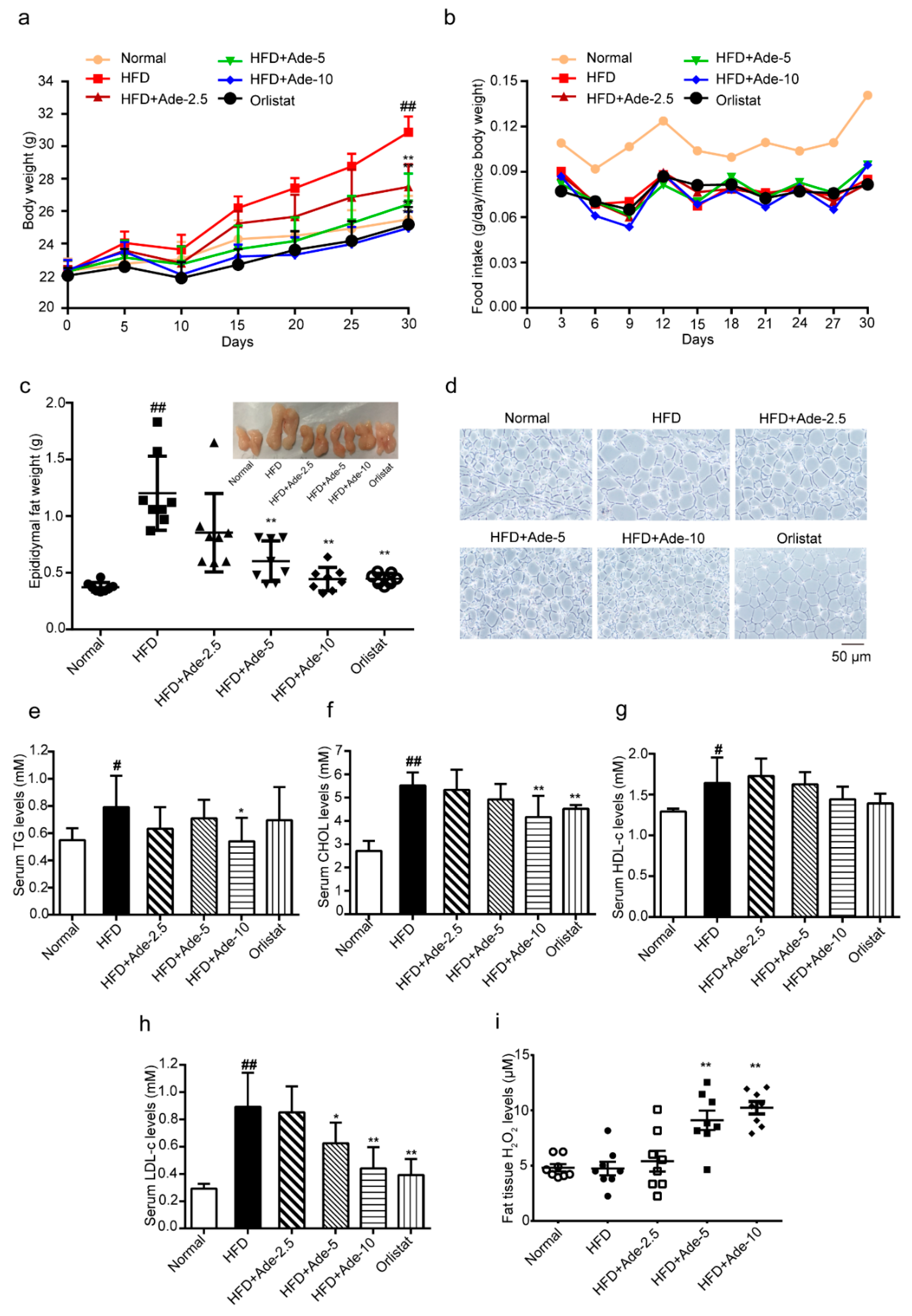 Molecules 24 00158 g005
