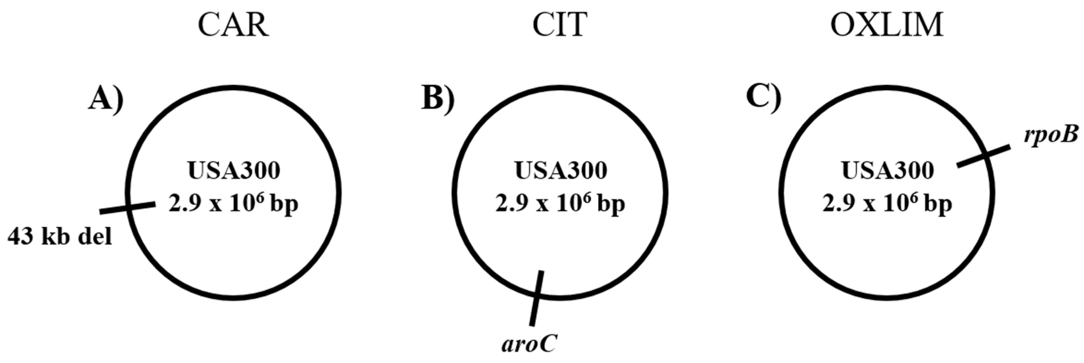 Molecules 24 00170 g006 Molecules 24 00170 g006