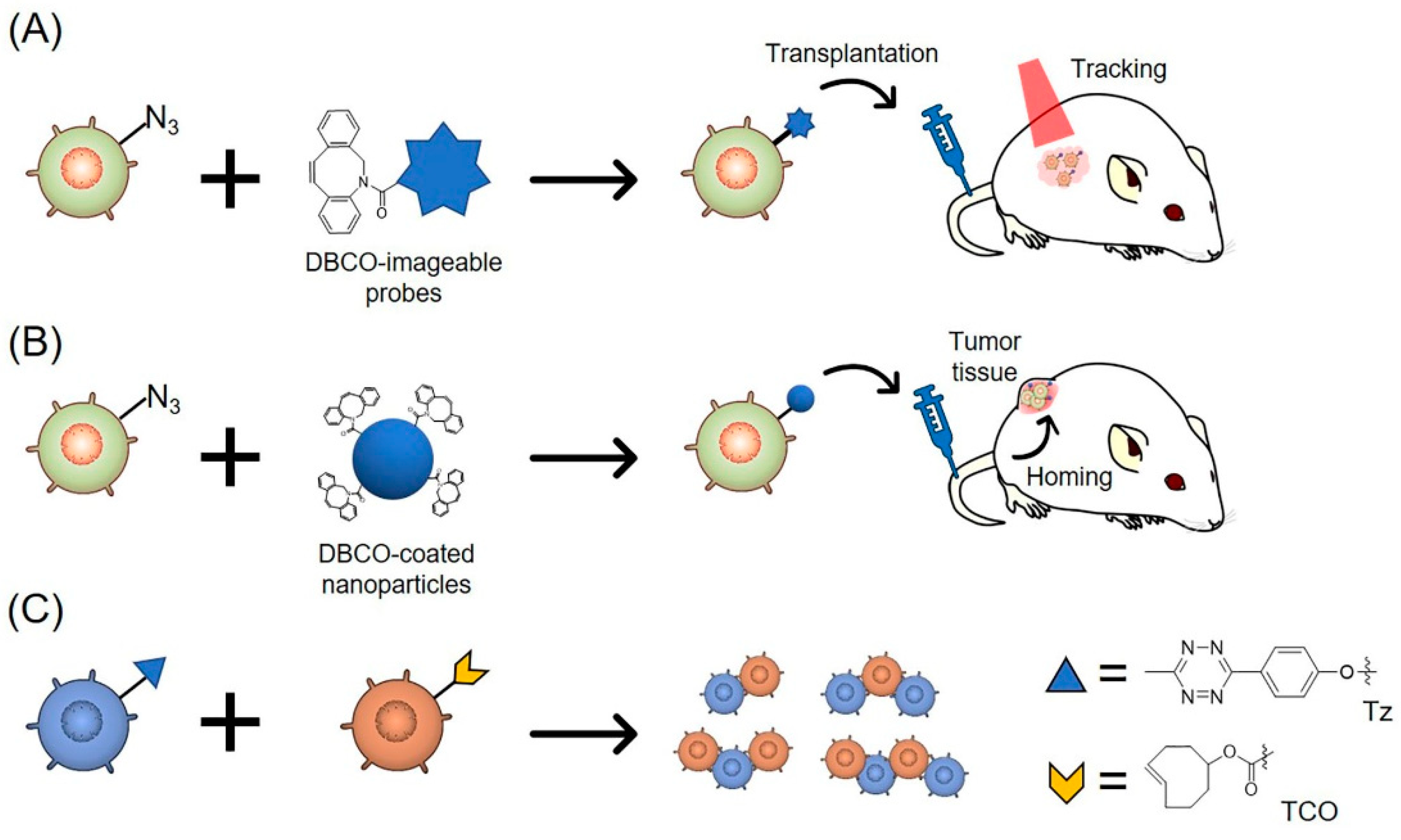 Molecules 24 00172 g002 Molecules 24 00172 g002