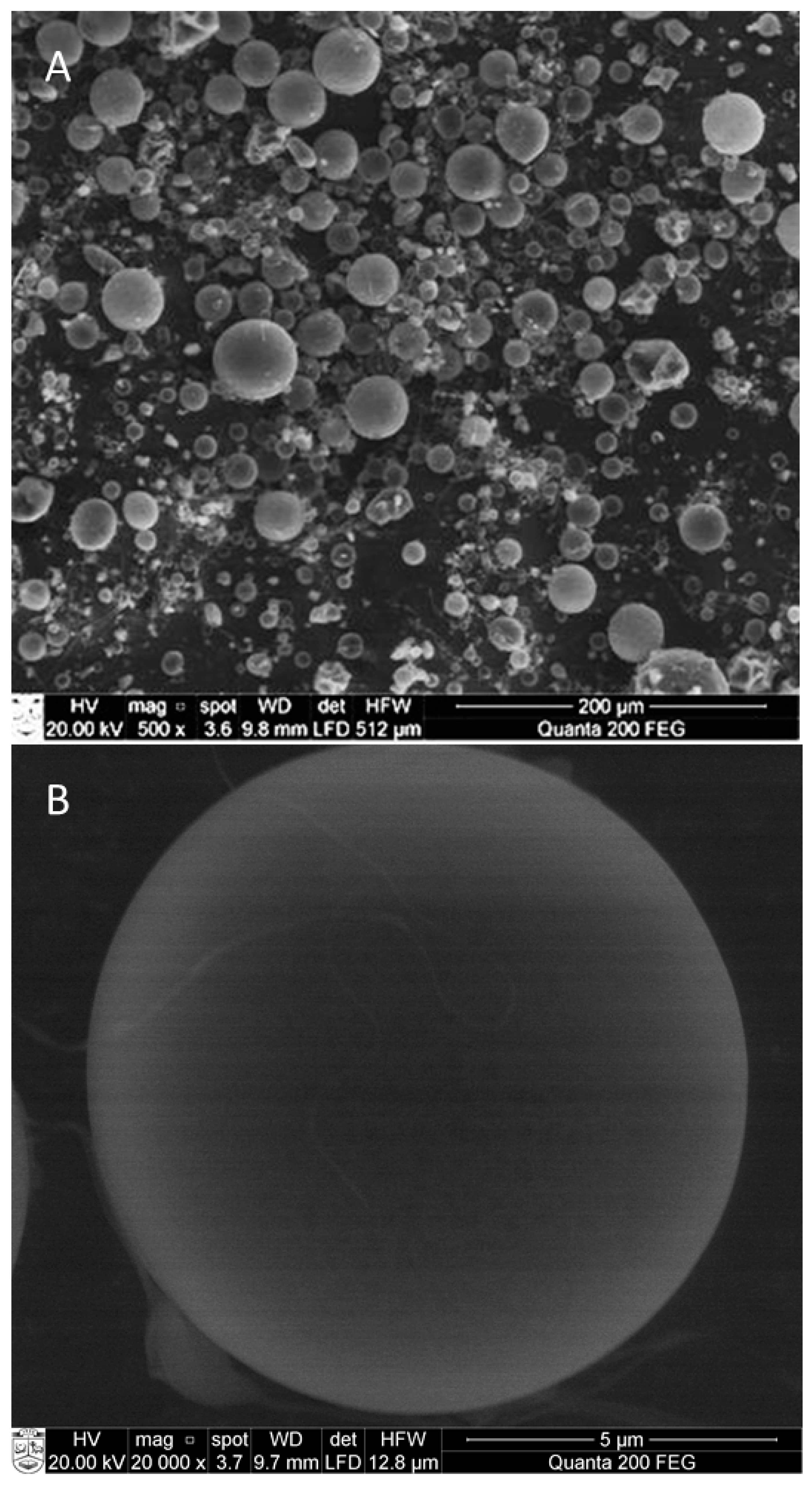 Molecules 24 00176 g005