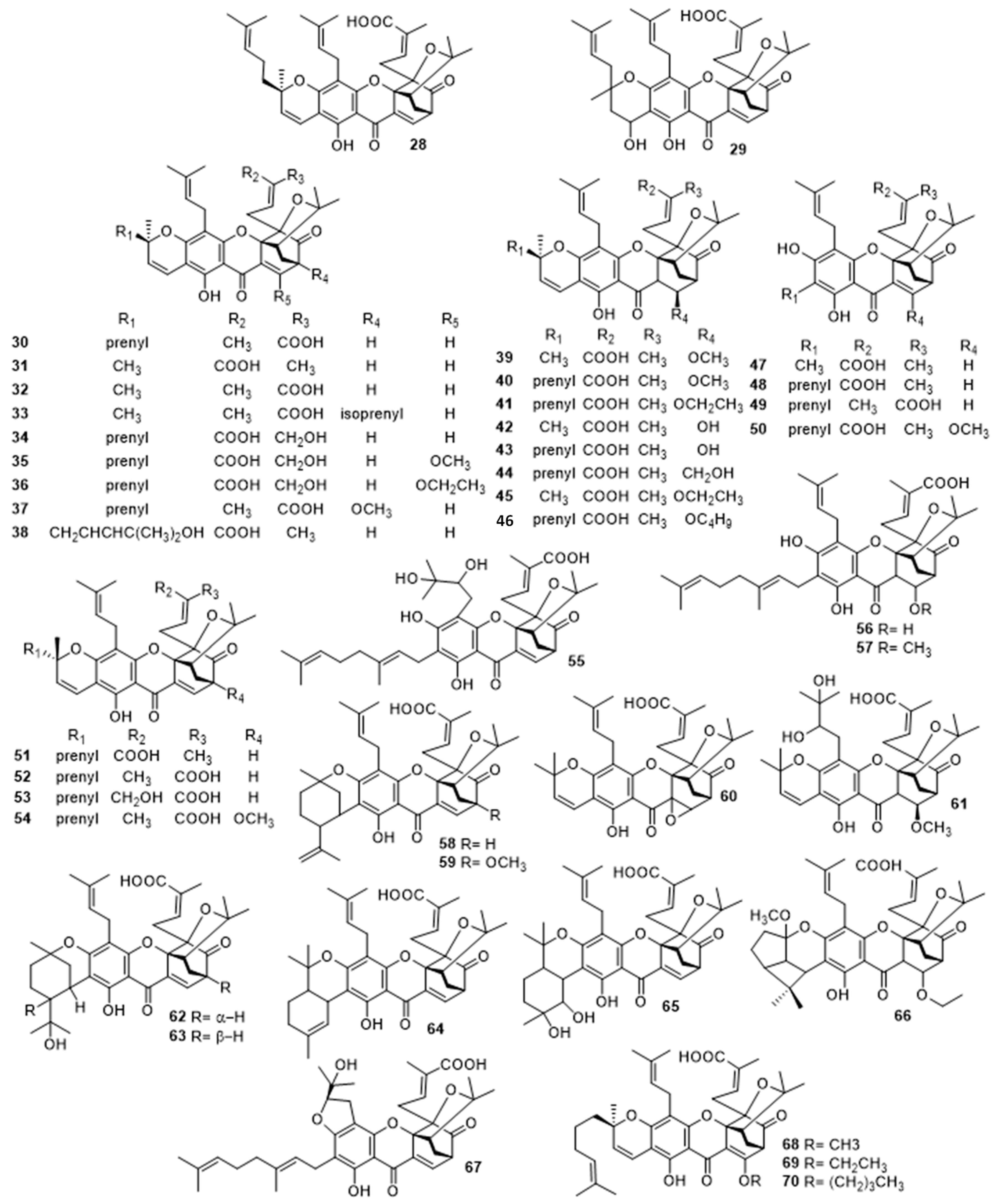 Molecules 24 00180 g004