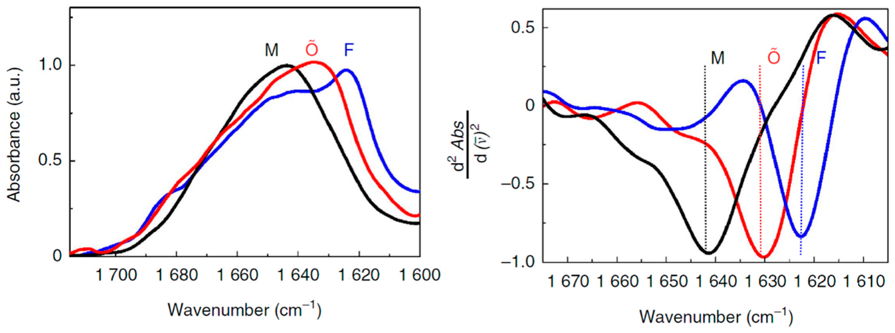 Molecules 24 00186 g002