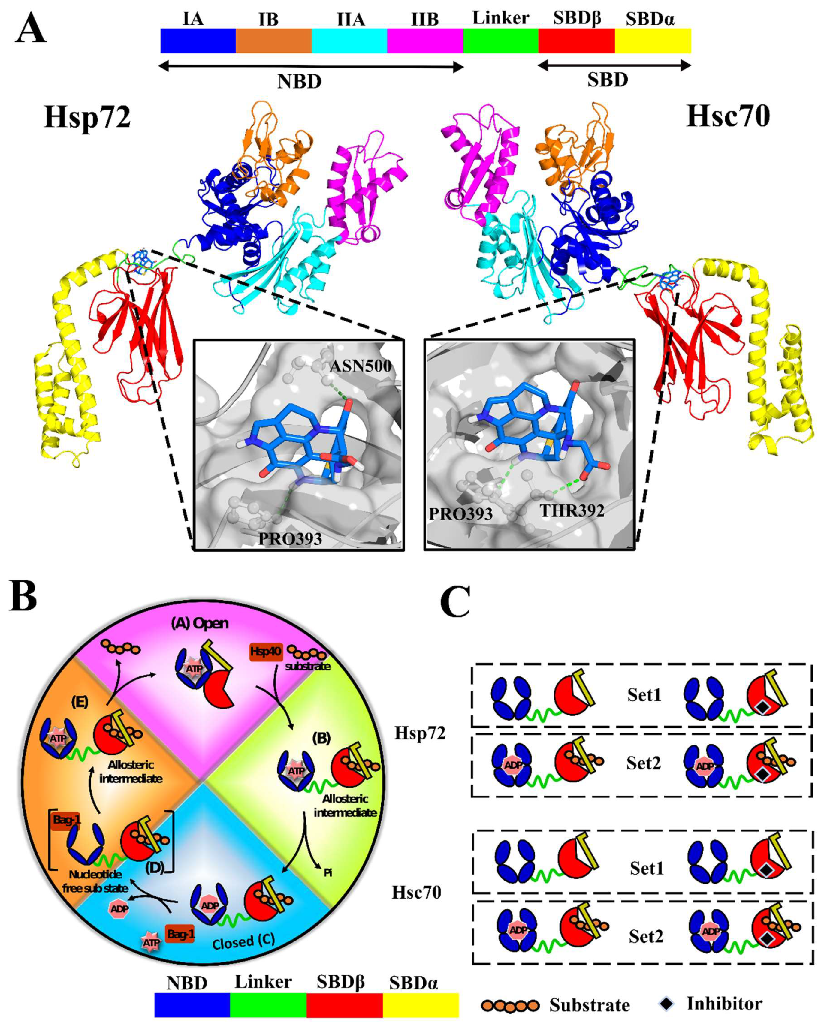 Molecules 24 00188 g001 Molecules 24 00188 g001