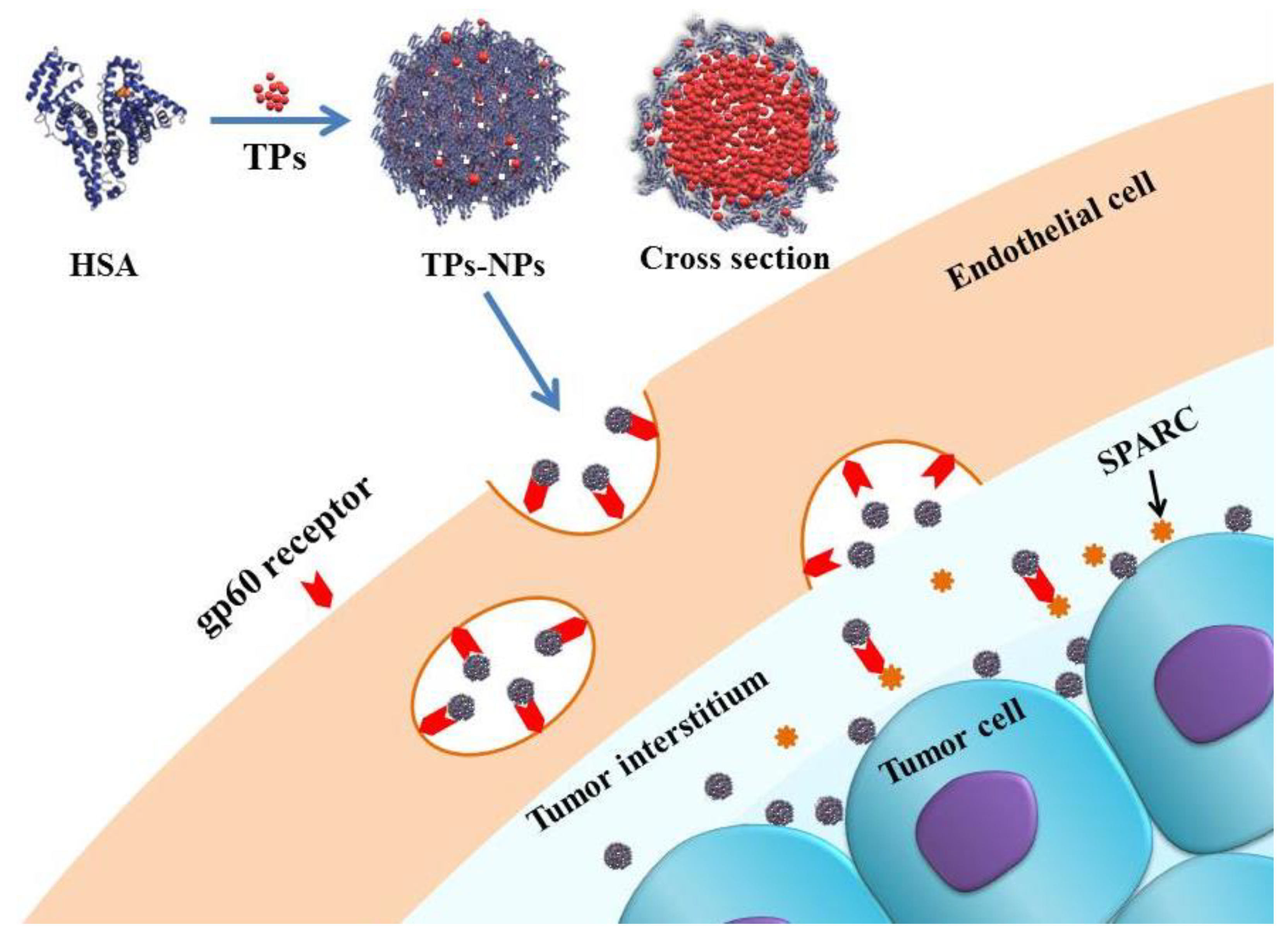 Molecules 24 00192 sch001