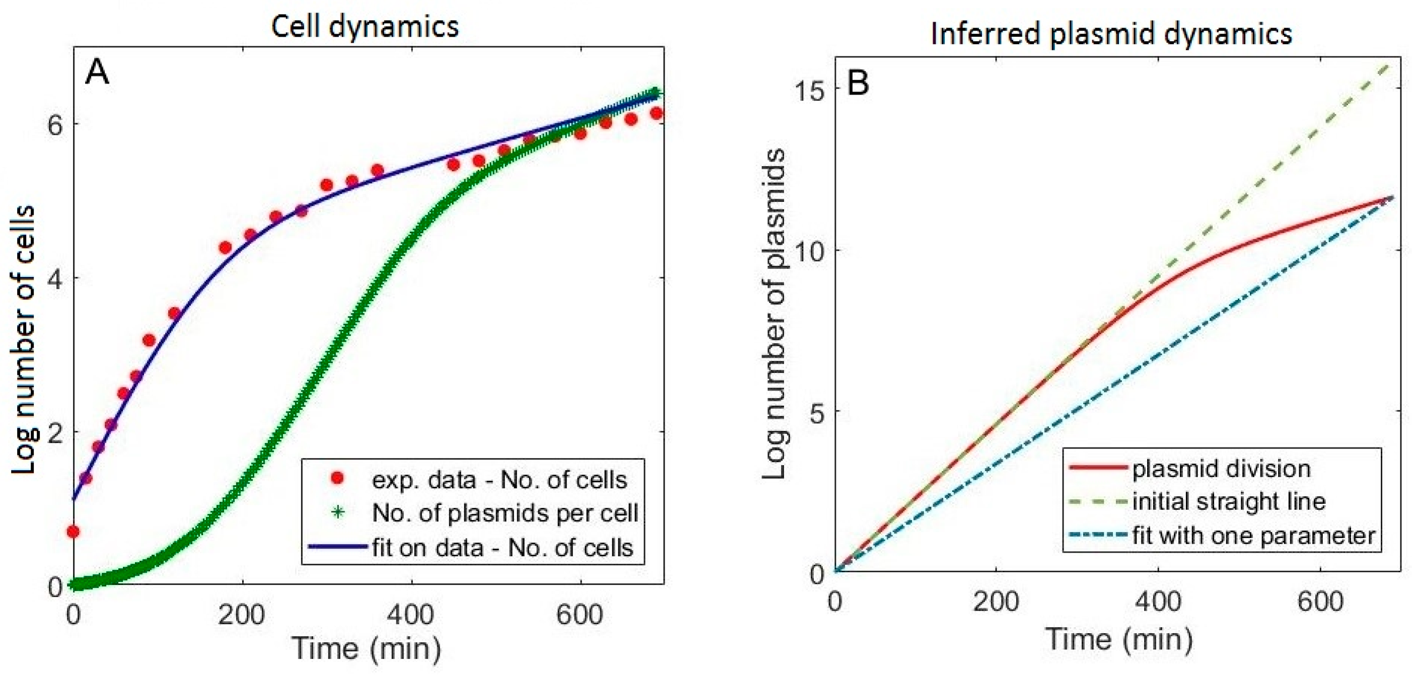 Molecules 24 00198 g004 Molecules 24 00198 g004
