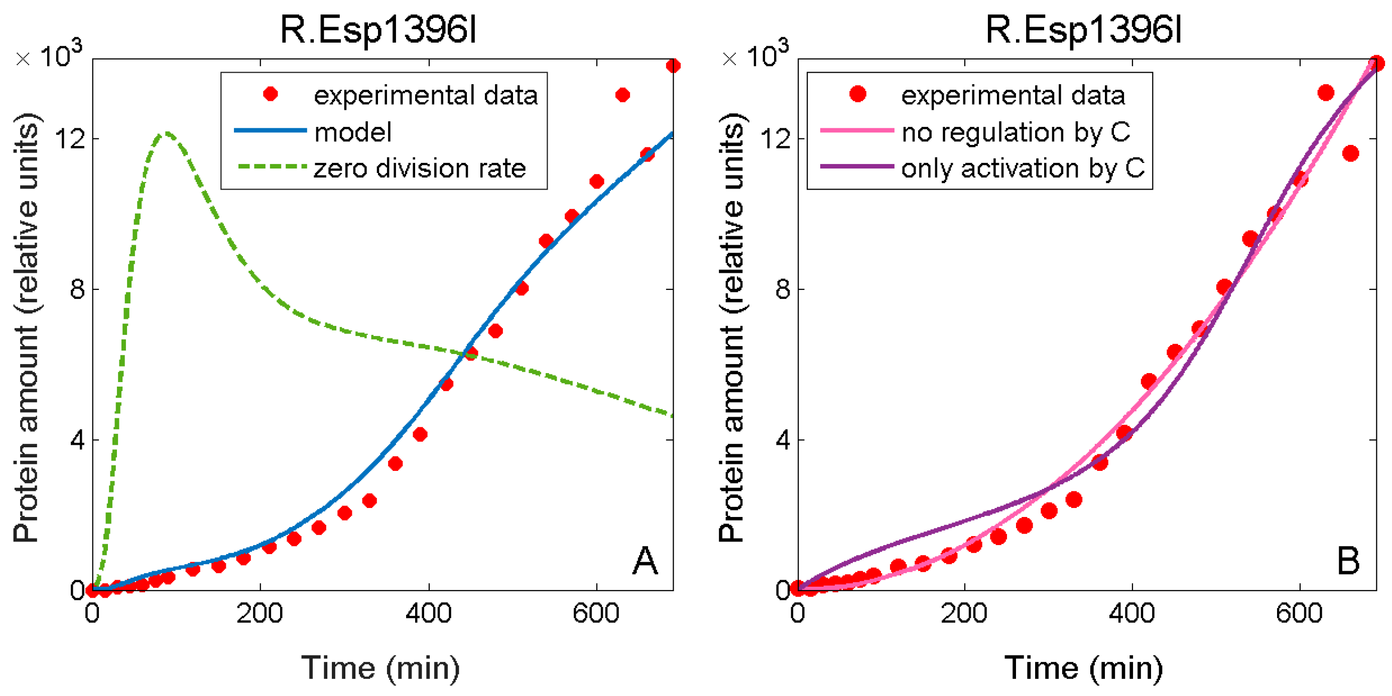 Molecules 24 00198 g007 Molecules 24 00198 g007