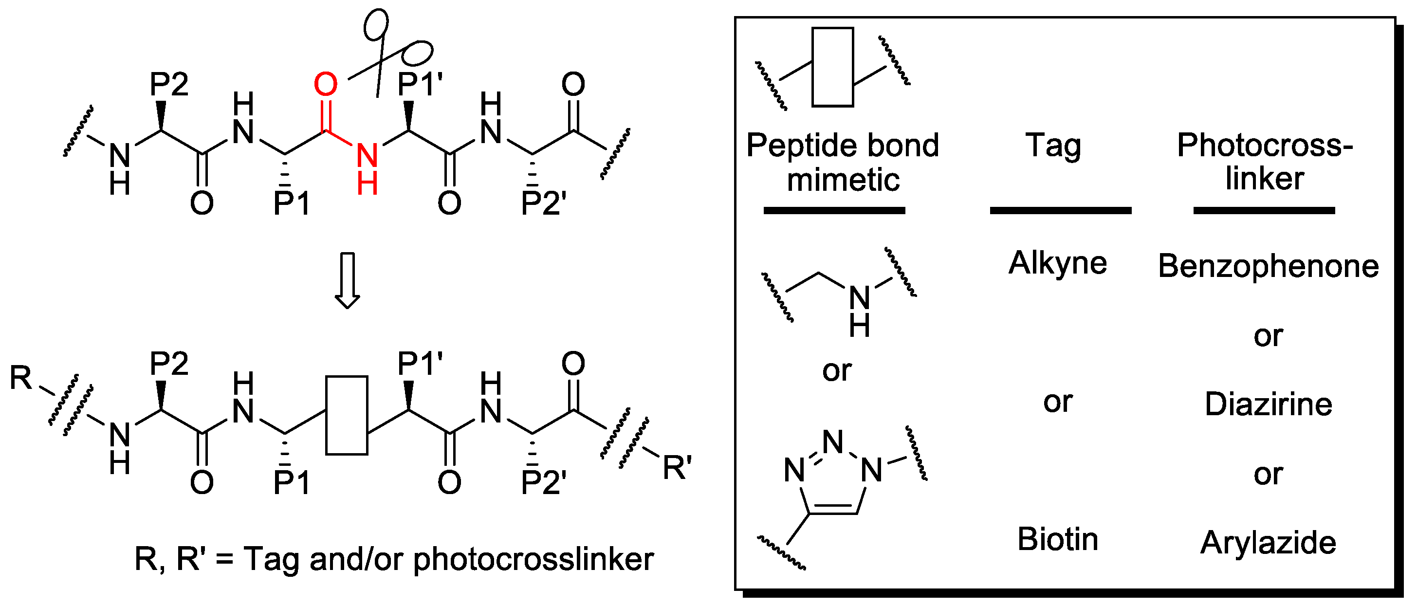 Molecules 24 00206 g001 Molecules 24 00206 g001