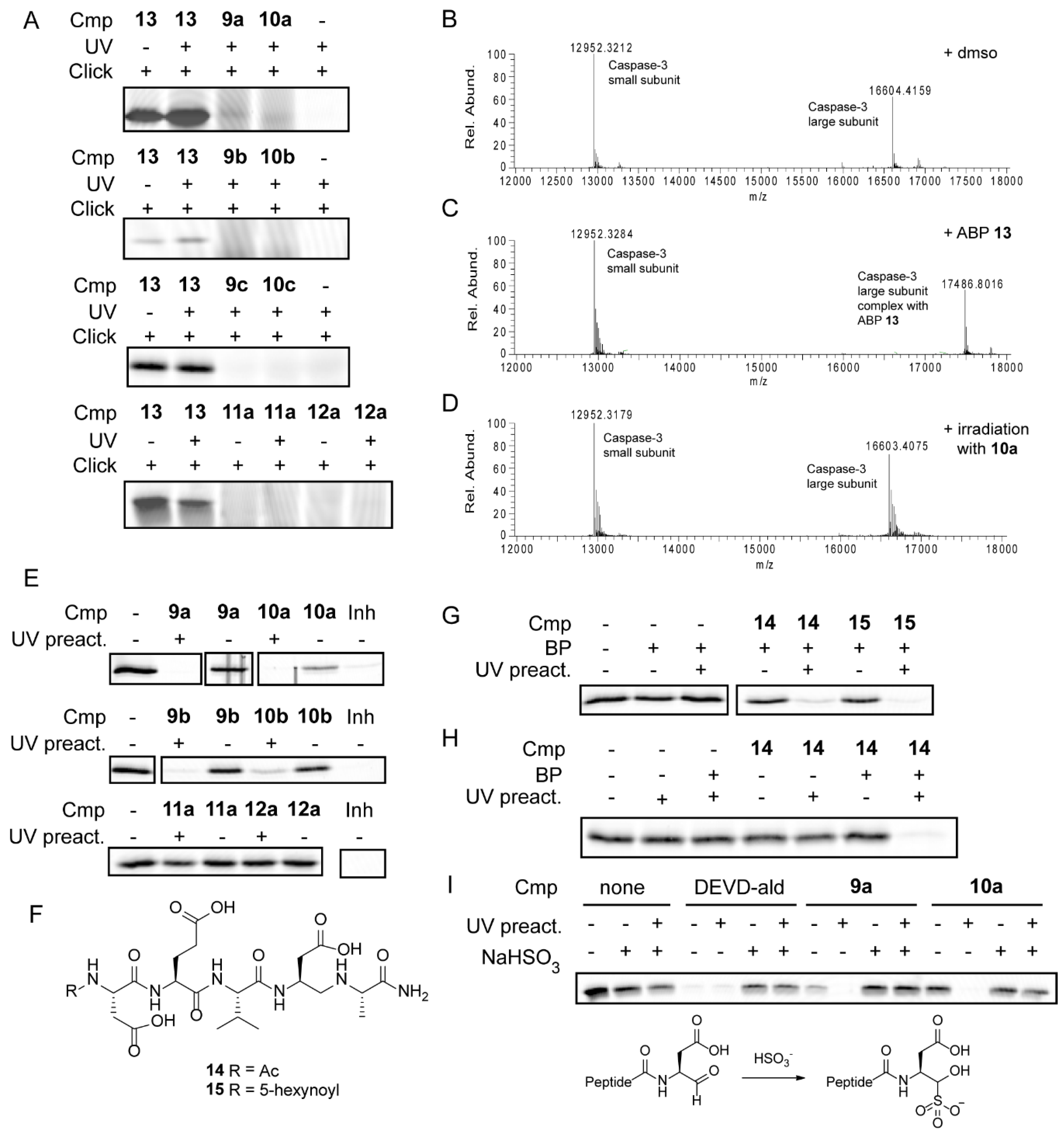 Molecules 24 00206 g003 Molecules 24 00206 g003