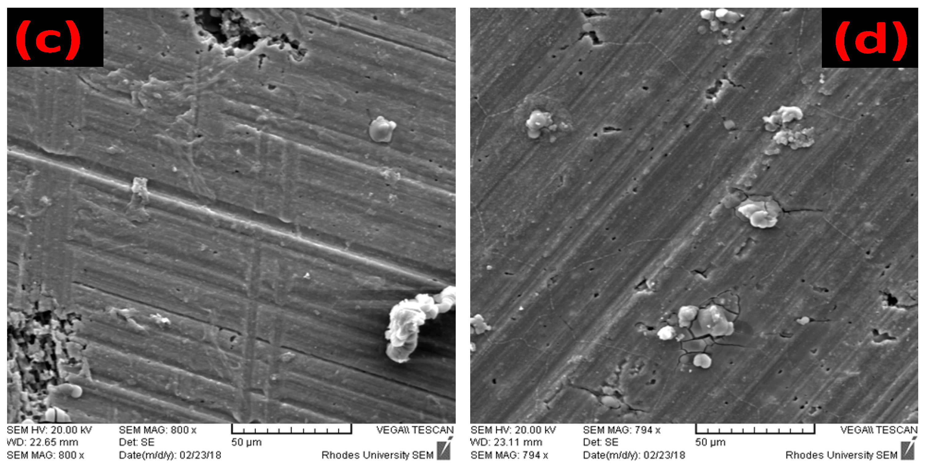 Molecules 24 00207 g005b Molecules 24 00207 g005b