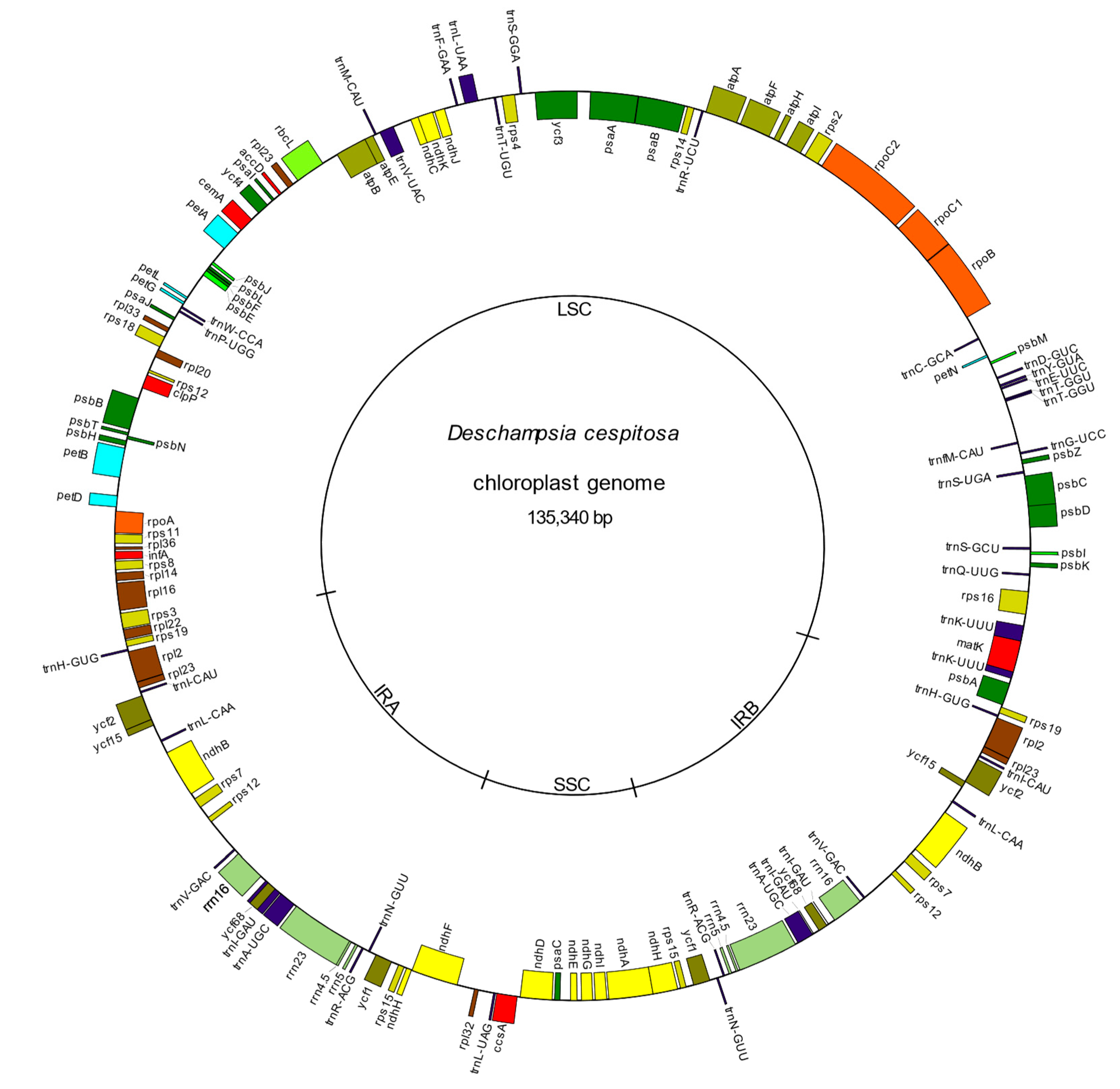 Molecules 24 00216 g001