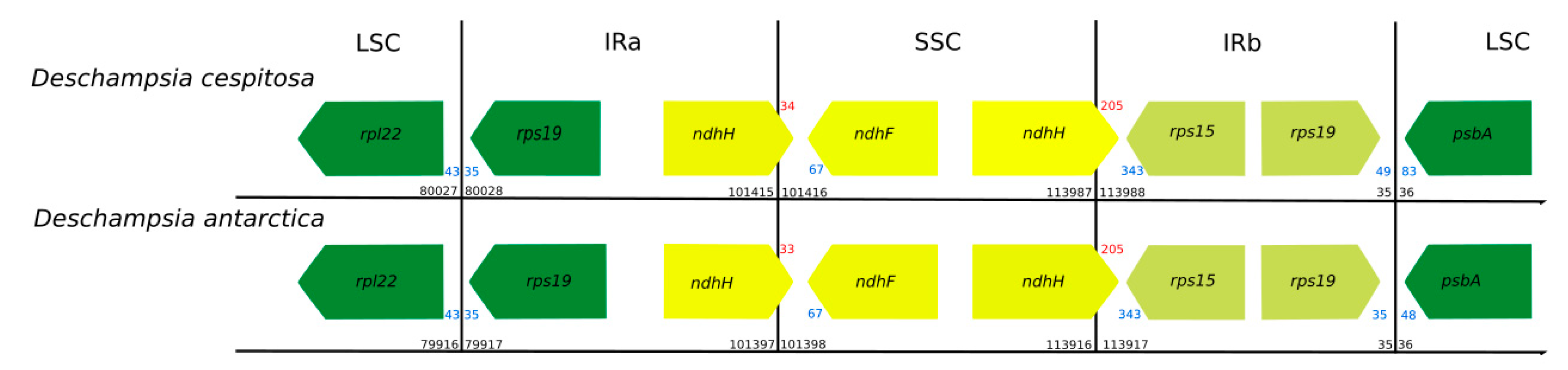 Molecules 24 00216 g002