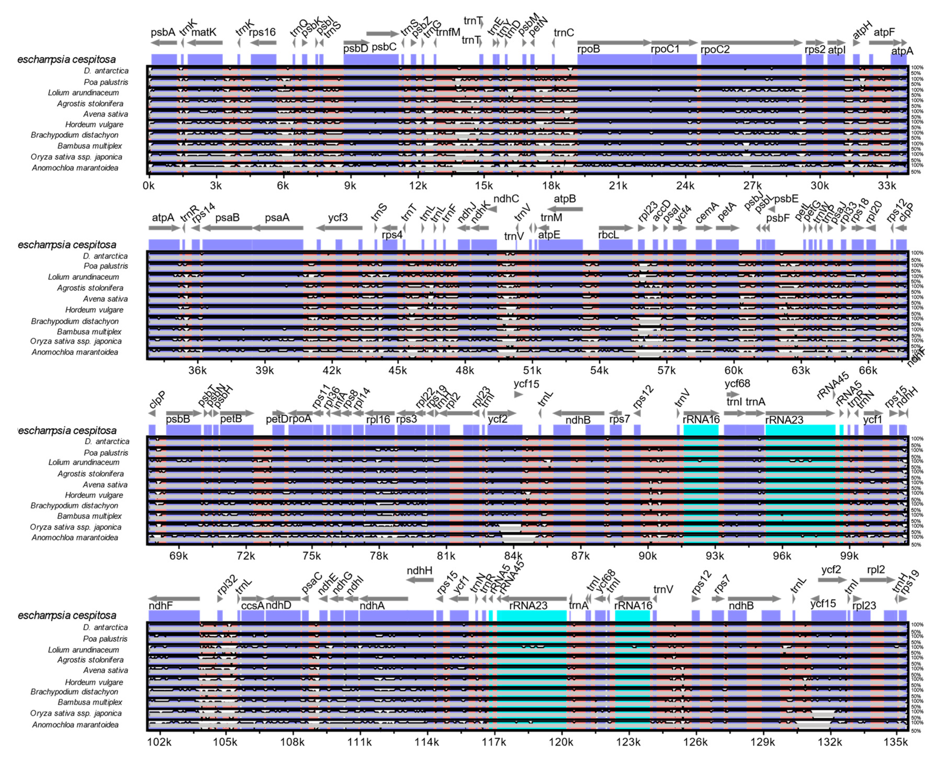 Molecules 24 00216 g005