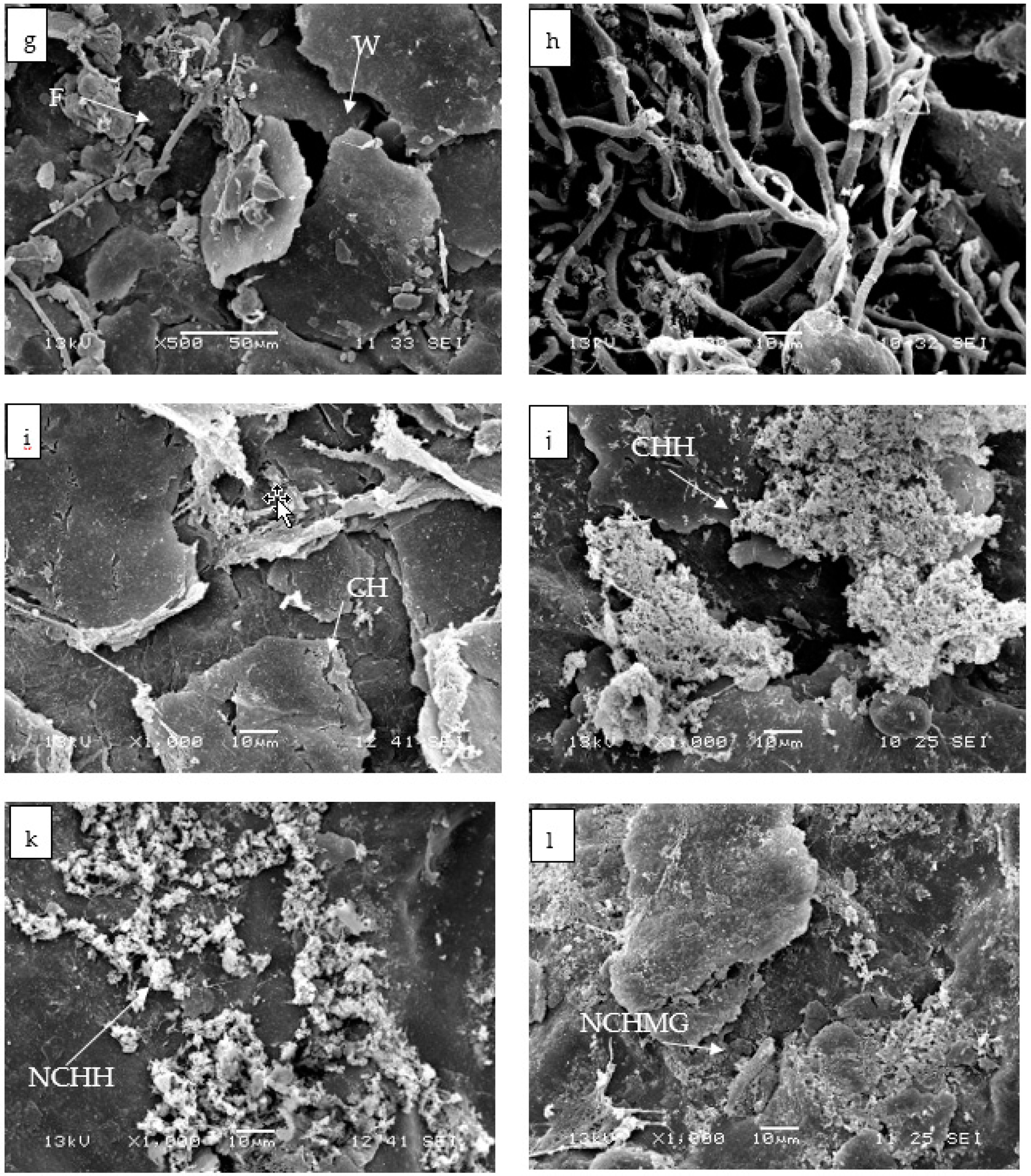 Molecules 24 00219 g007b