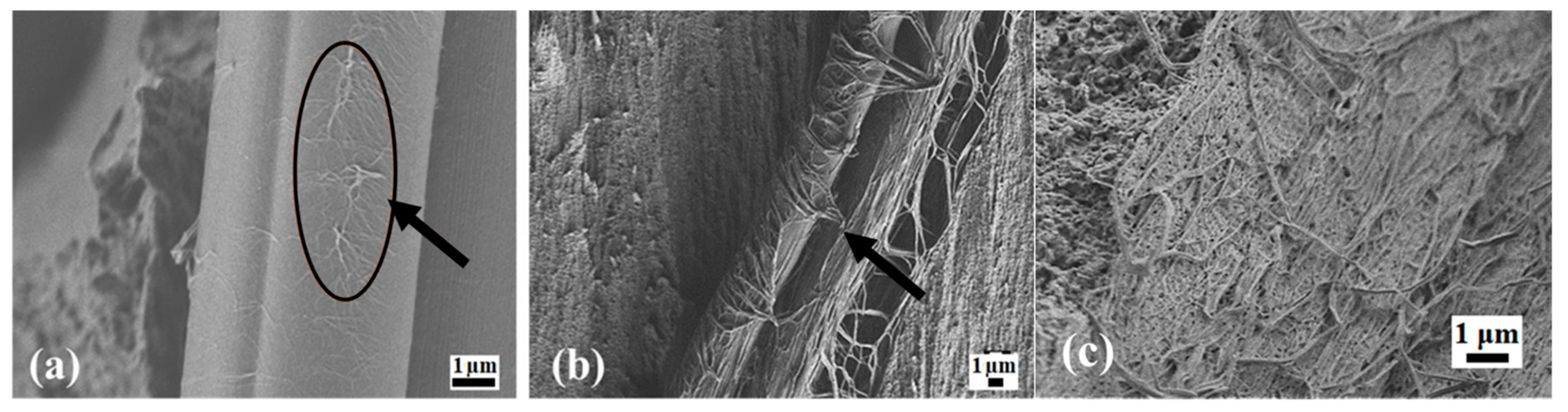 Molecules 24 00224 g003