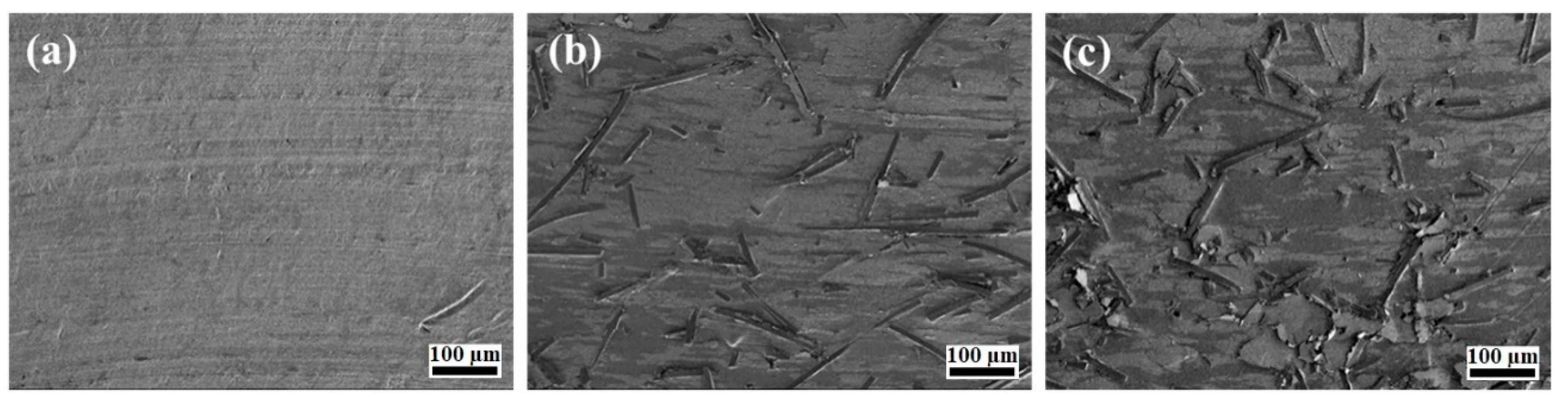 Molecules 24 00224 g006