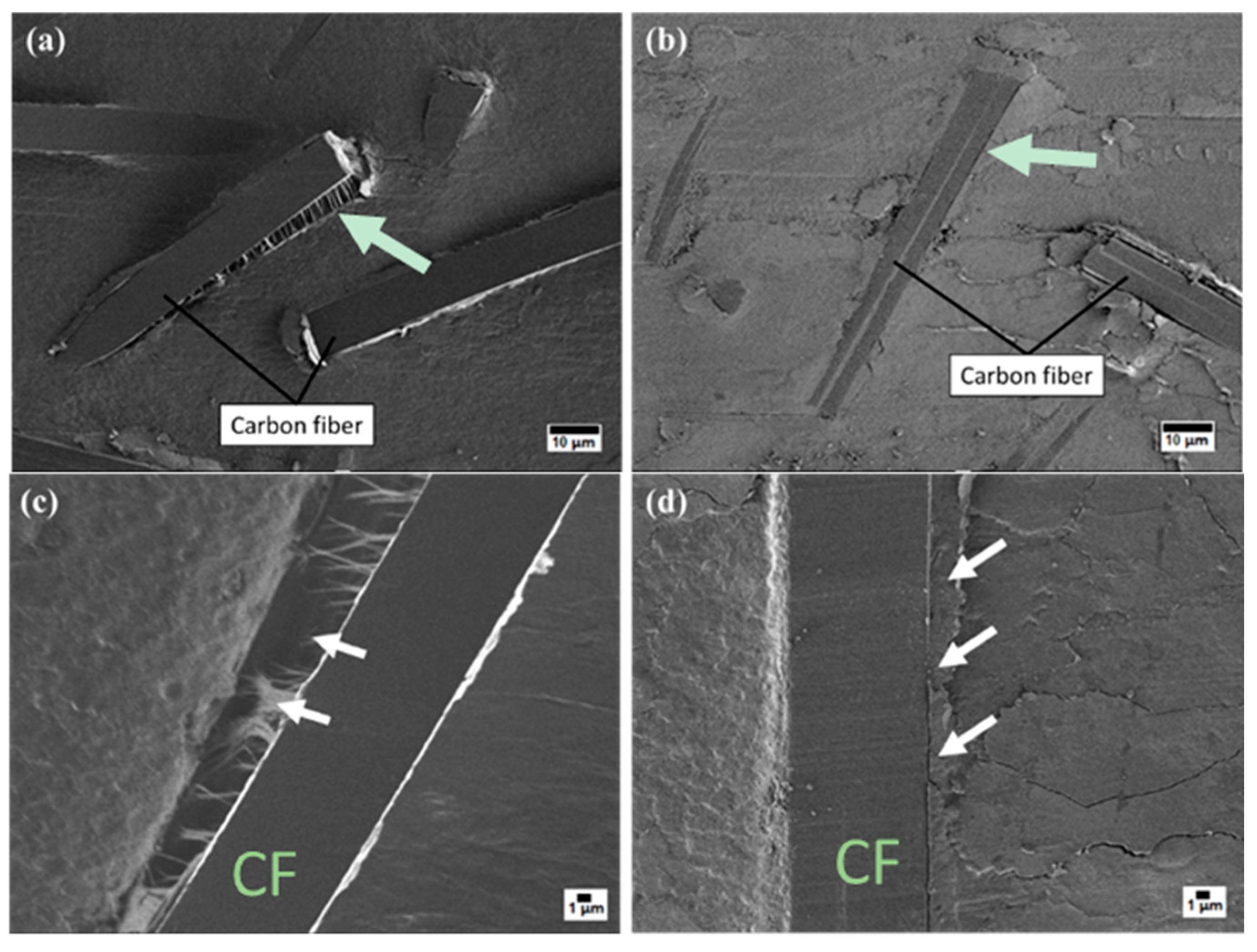 Molecules 24 00224 g009