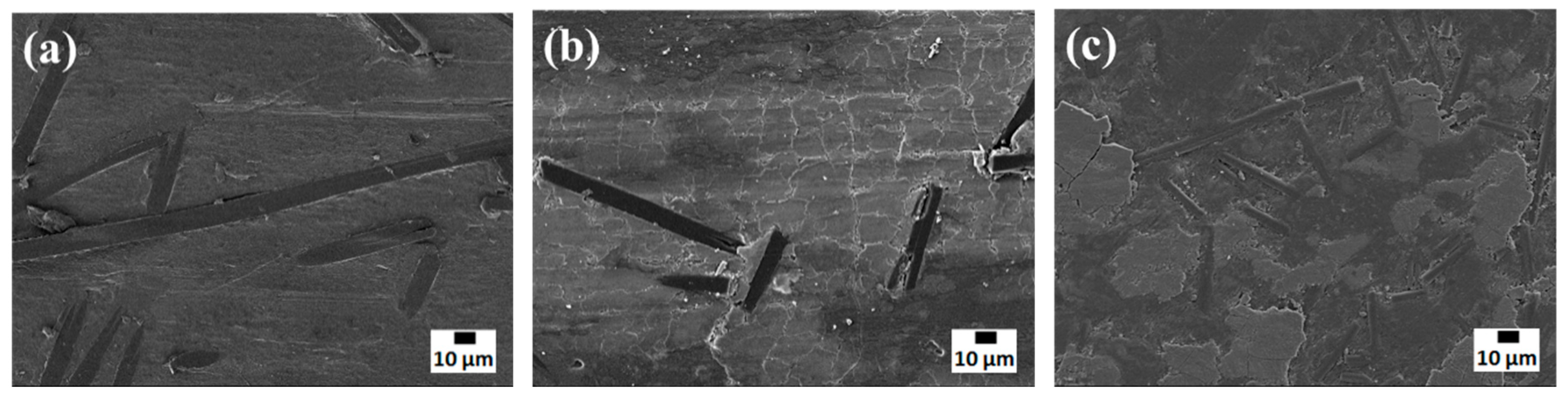 Molecules 24 00224 g010