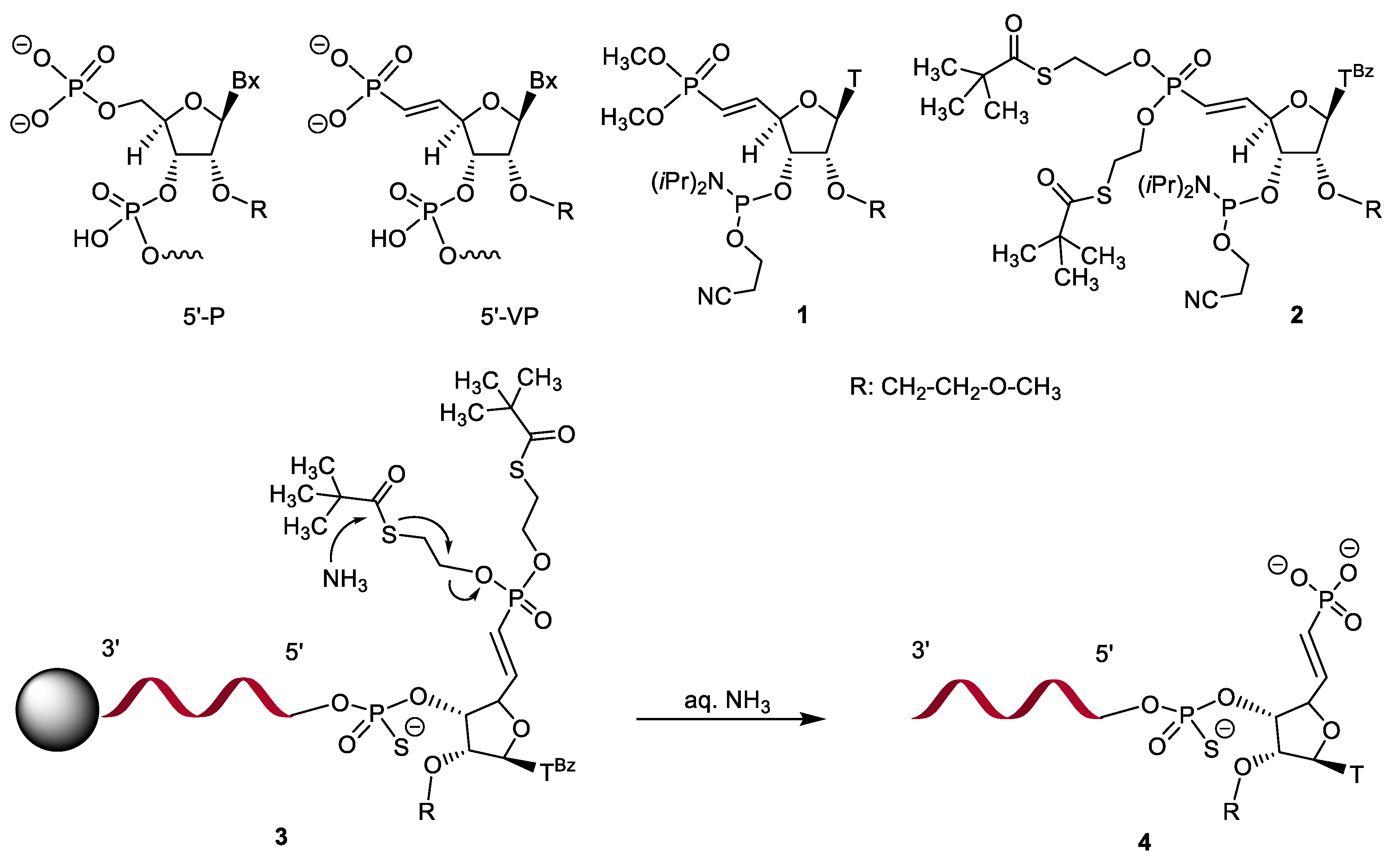 Molecules 24 00225 g001