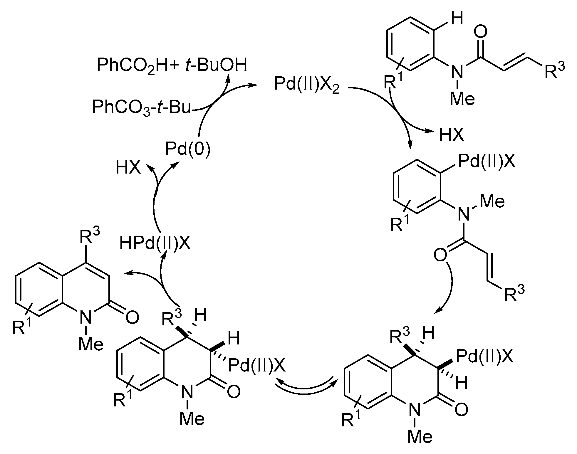 Molecules 24 00228 sch027