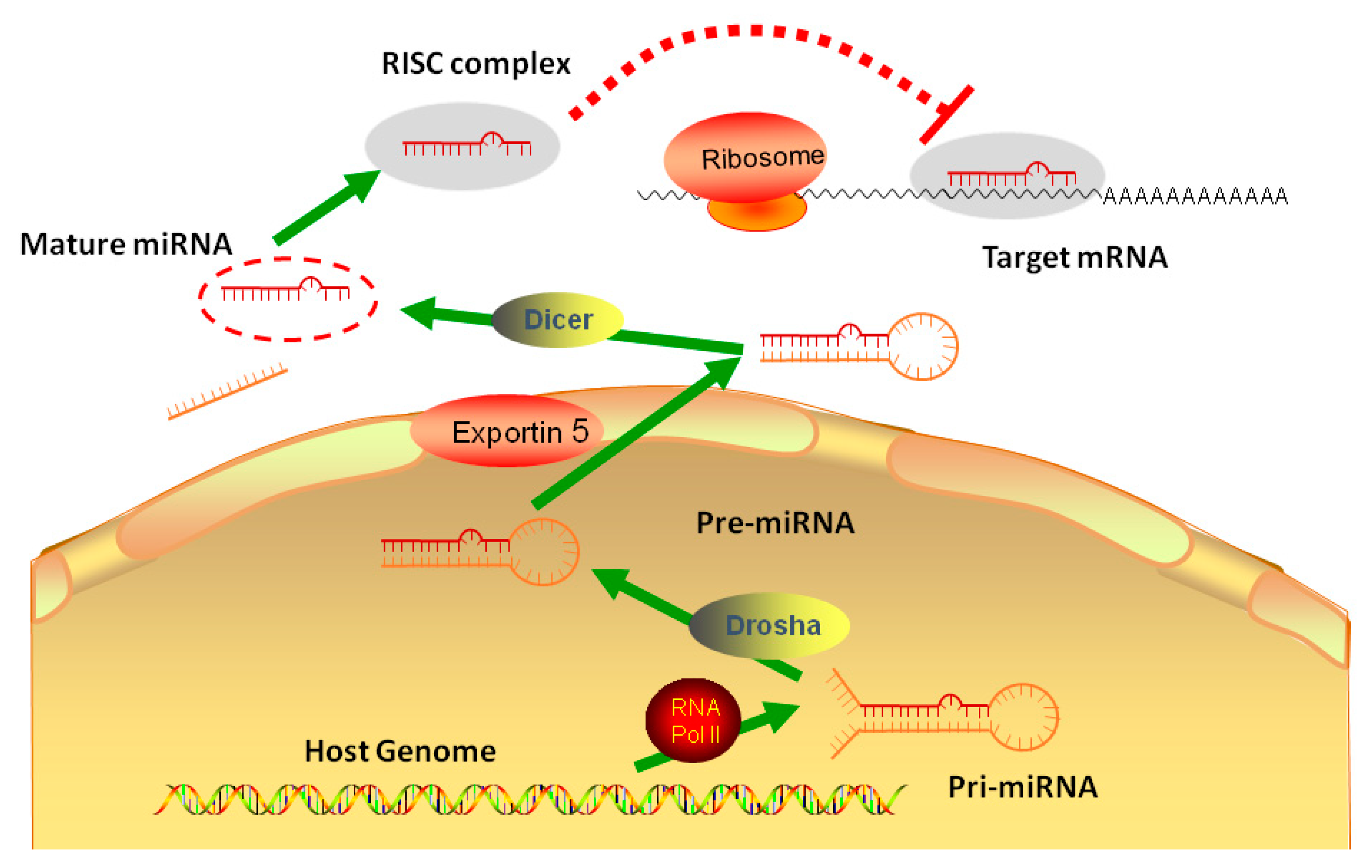 Molecules 24 00230 g001