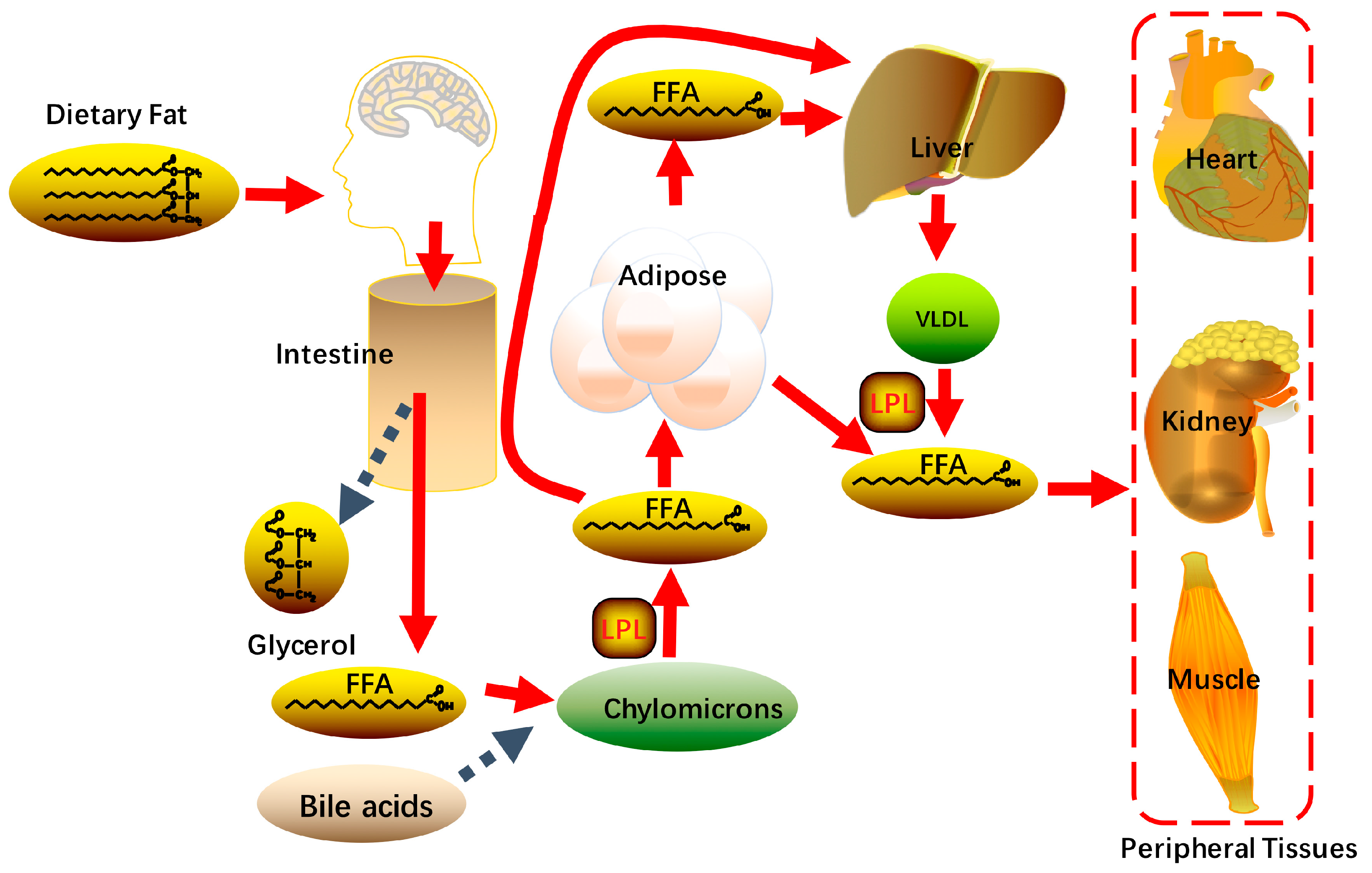 Molecules 24 00230 g002