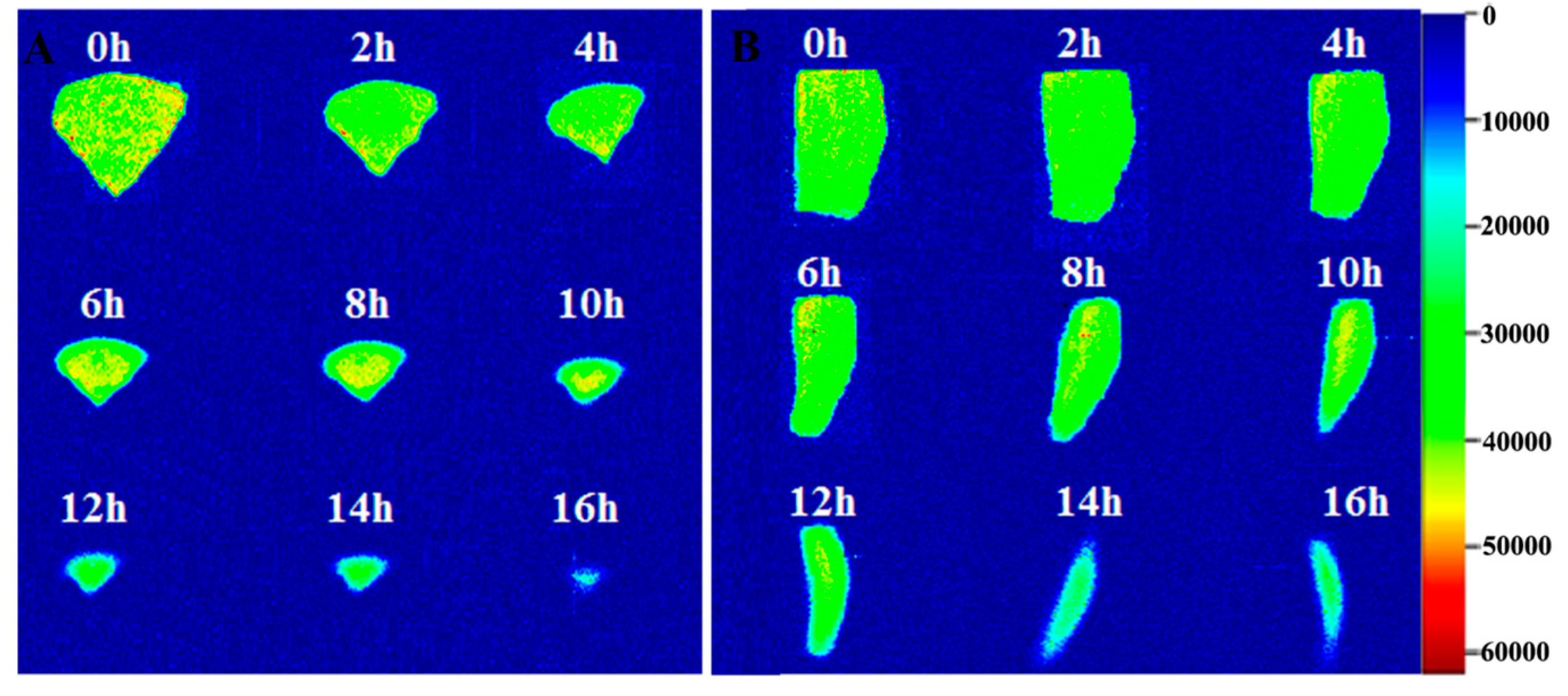 Molecules 24 00236 g004 Molecules 24 00236 g004