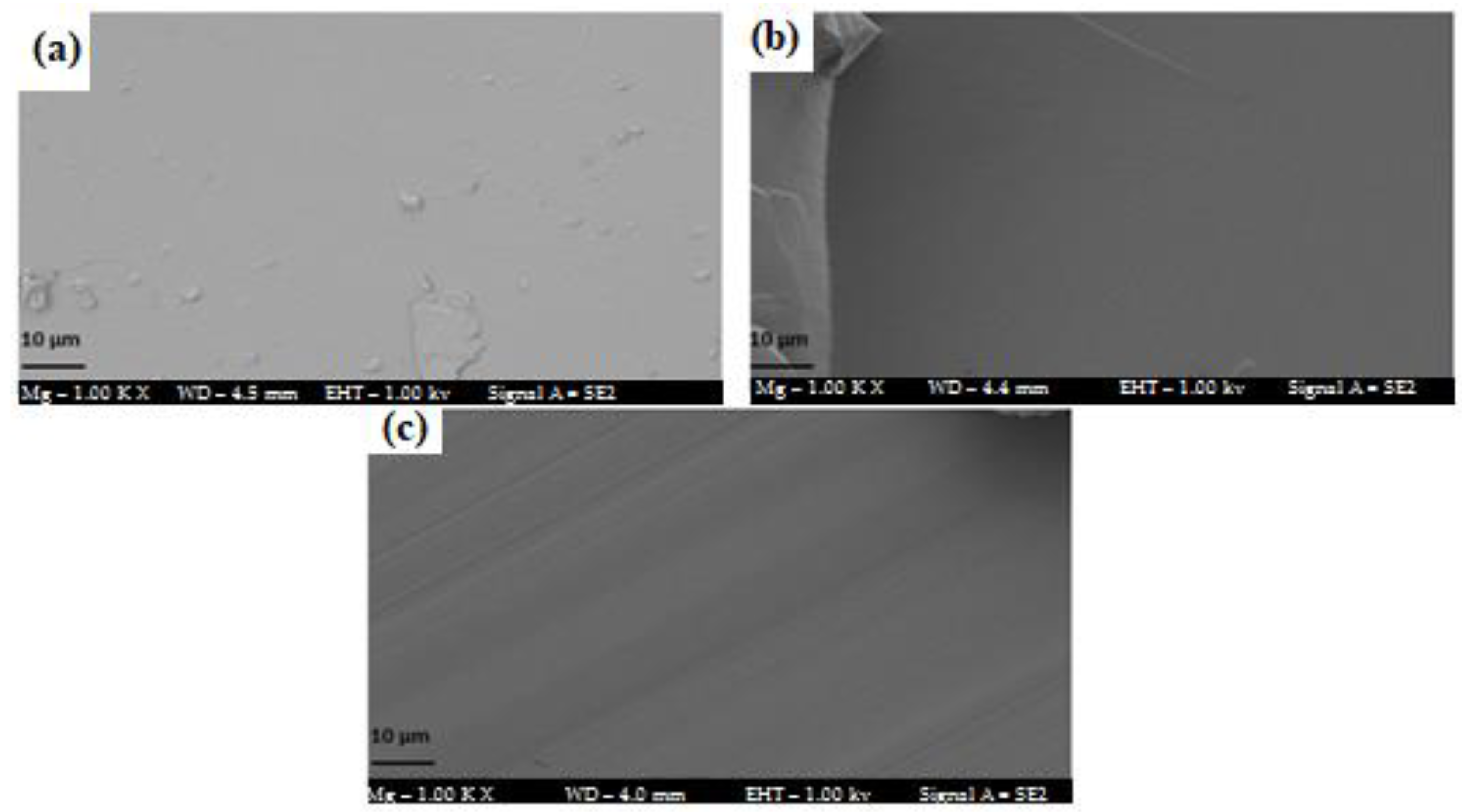 Molecules 24 00237 g008