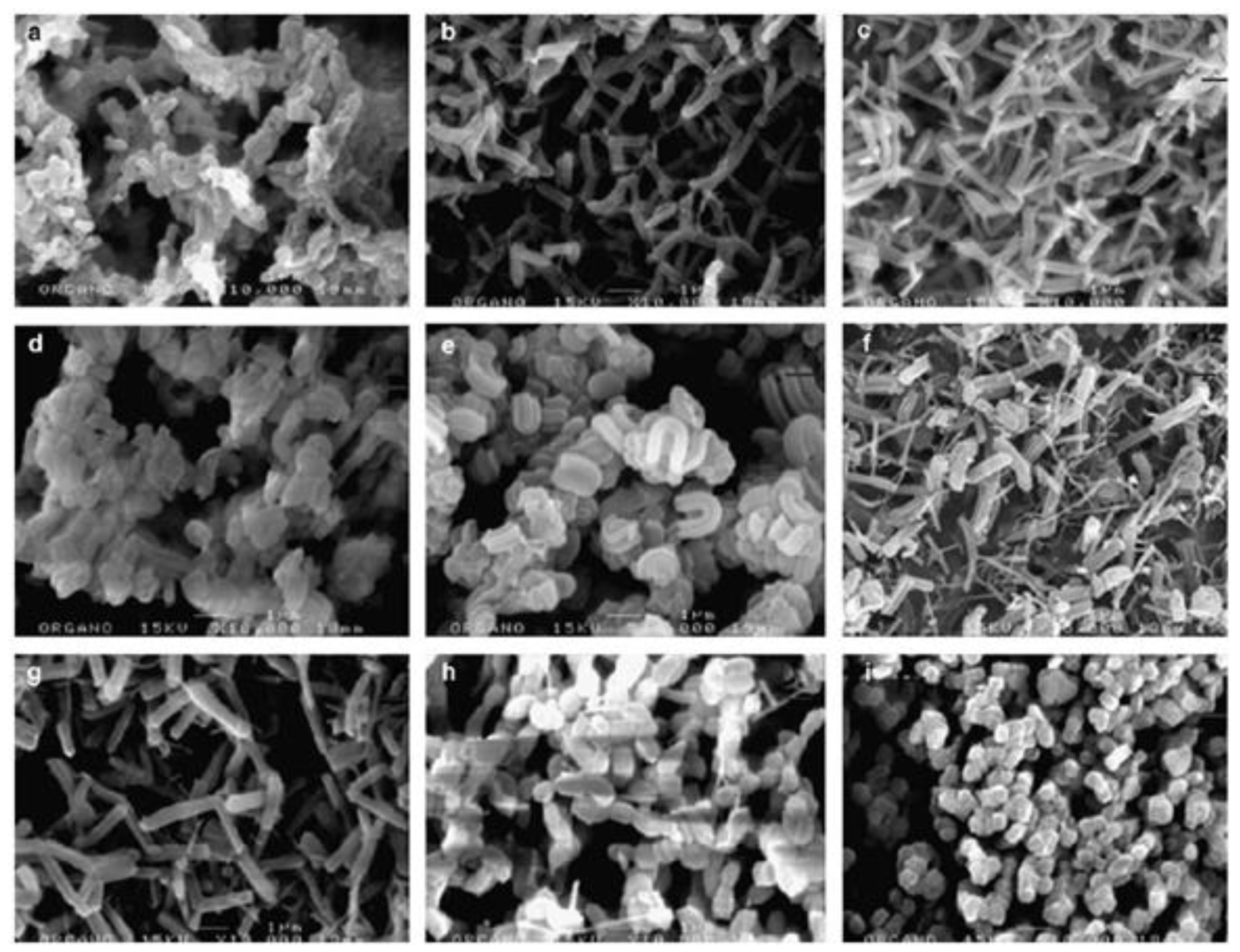 Molecules 24 00239 g002 Molecules 24 00239 g002