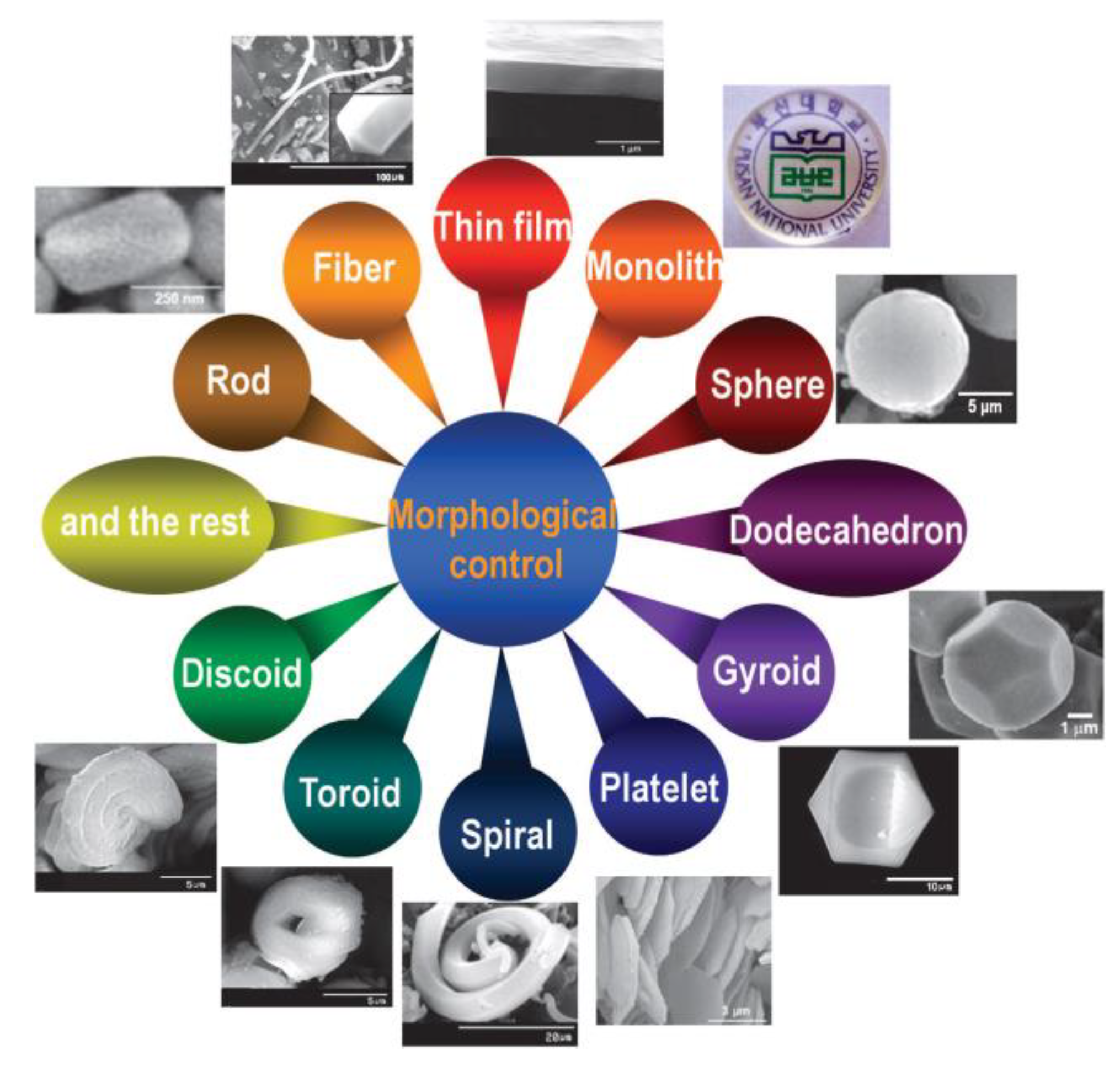 Molecules 24 00239 sch004 Molecules 24 00239 sch004
