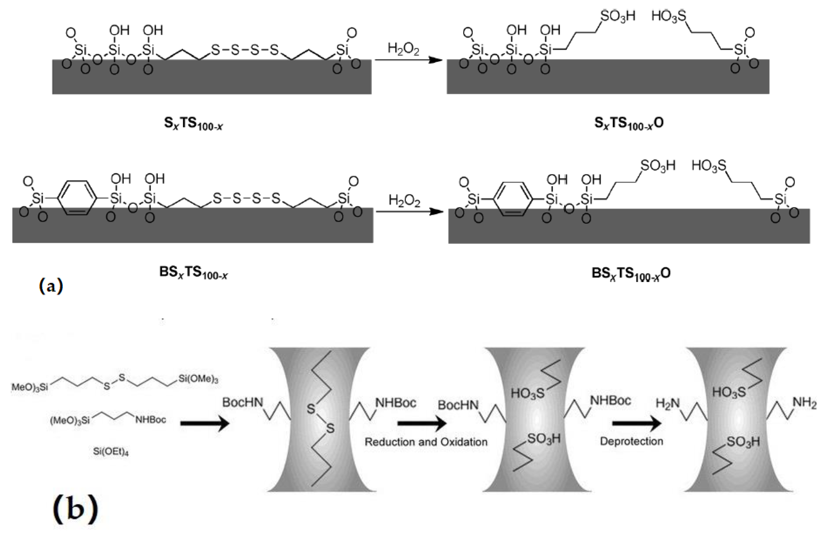 Molecules 24 00239 sch007 Molecules 24 00239 sch007