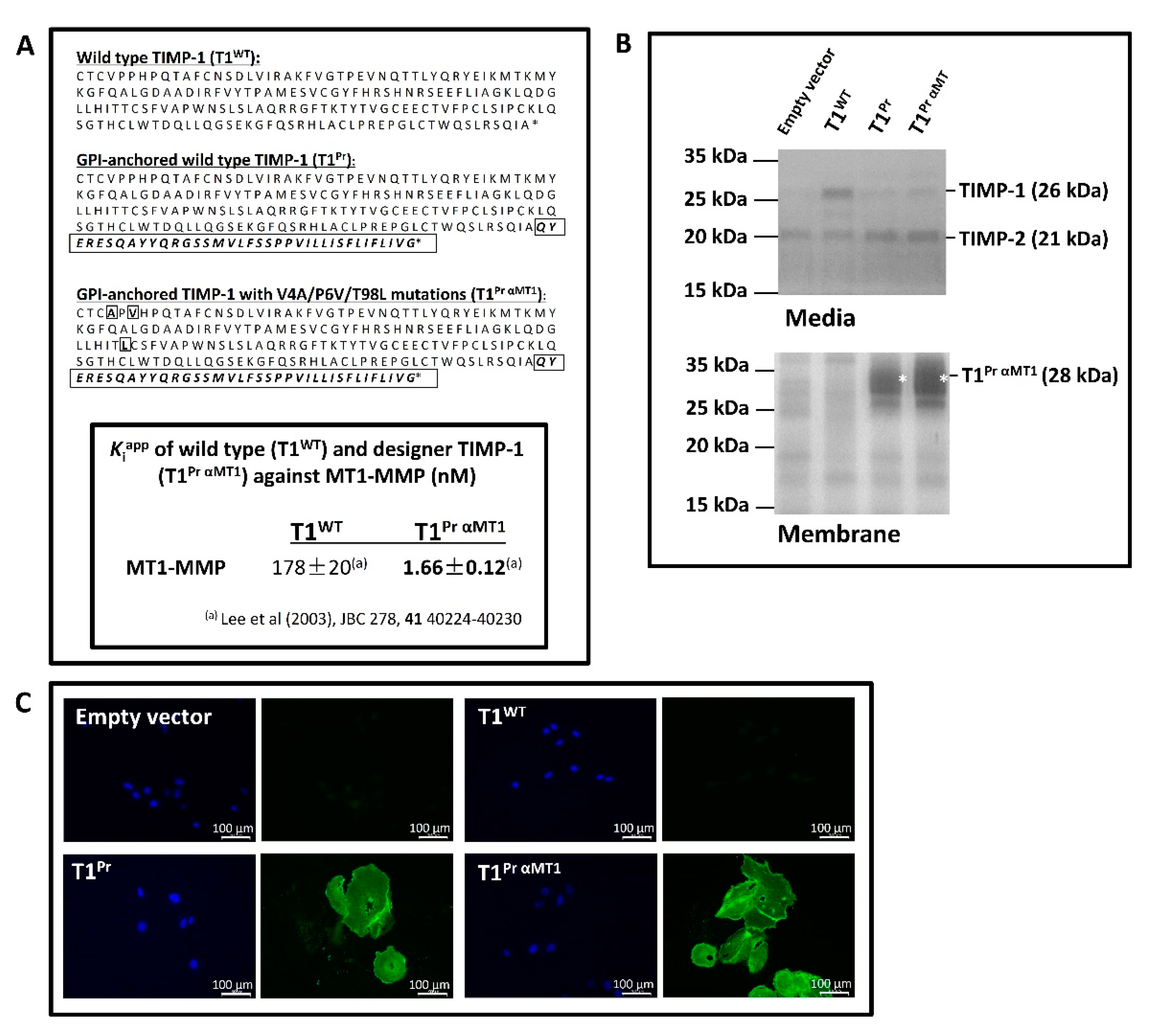 Molecules 24 00255 g001 Molecules 24 00255 g001