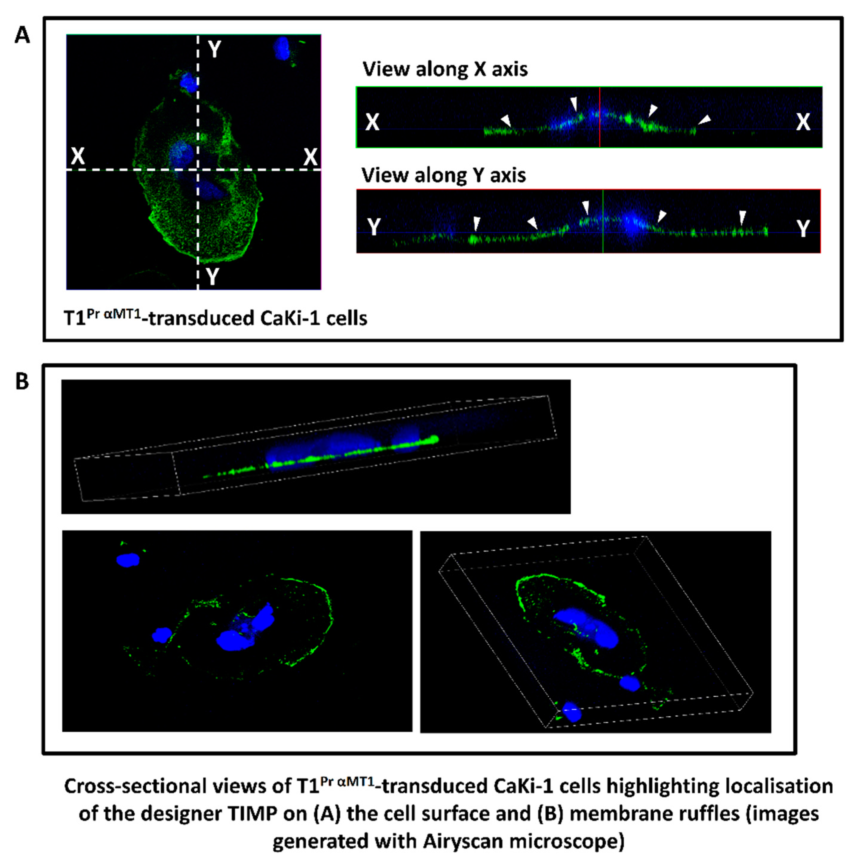 Molecules 24 00255 g002 Molecules 24 00255 g002