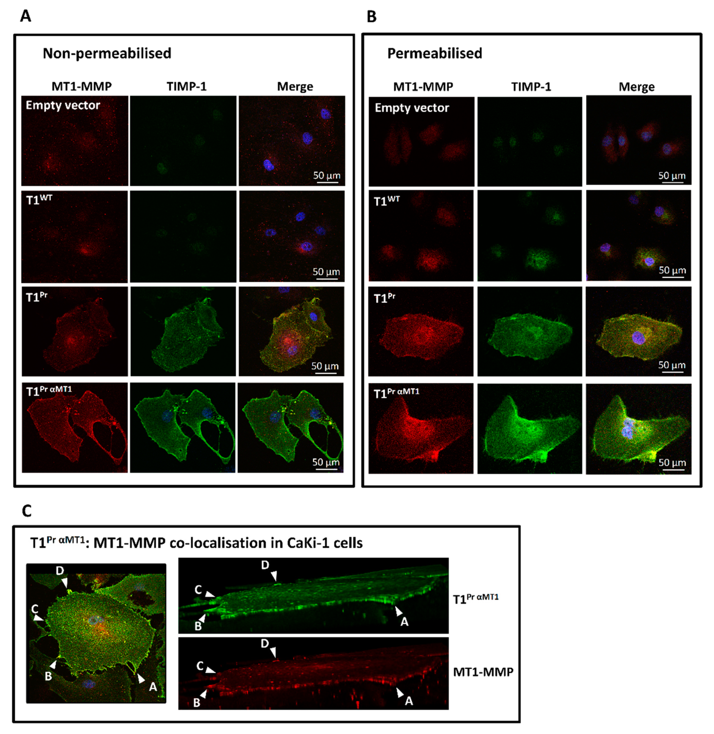 Molecules 24 00255 g003 Molecules 24 00255 g003