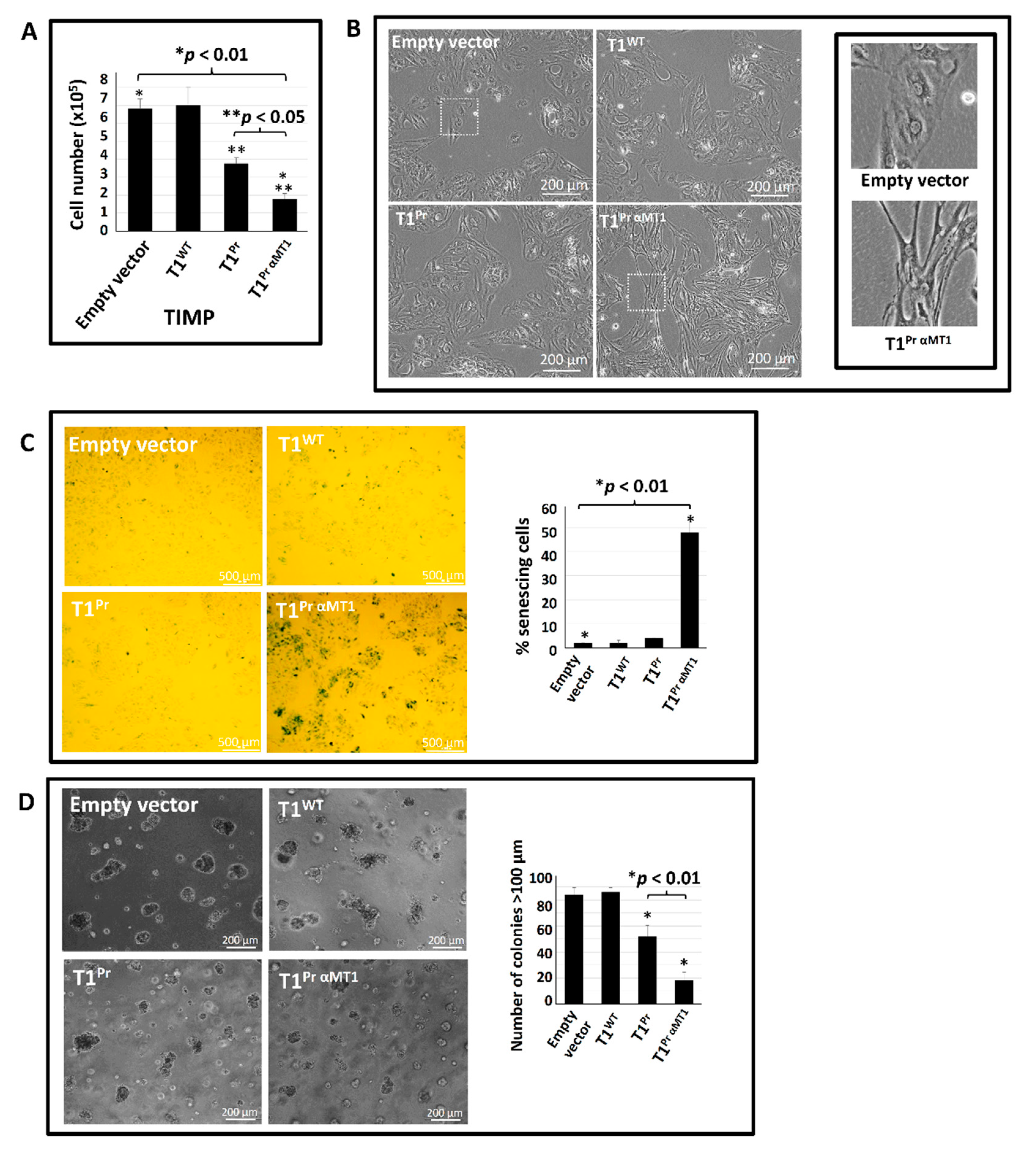 Molecules 24 00255 g005 Molecules 24 00255 g005