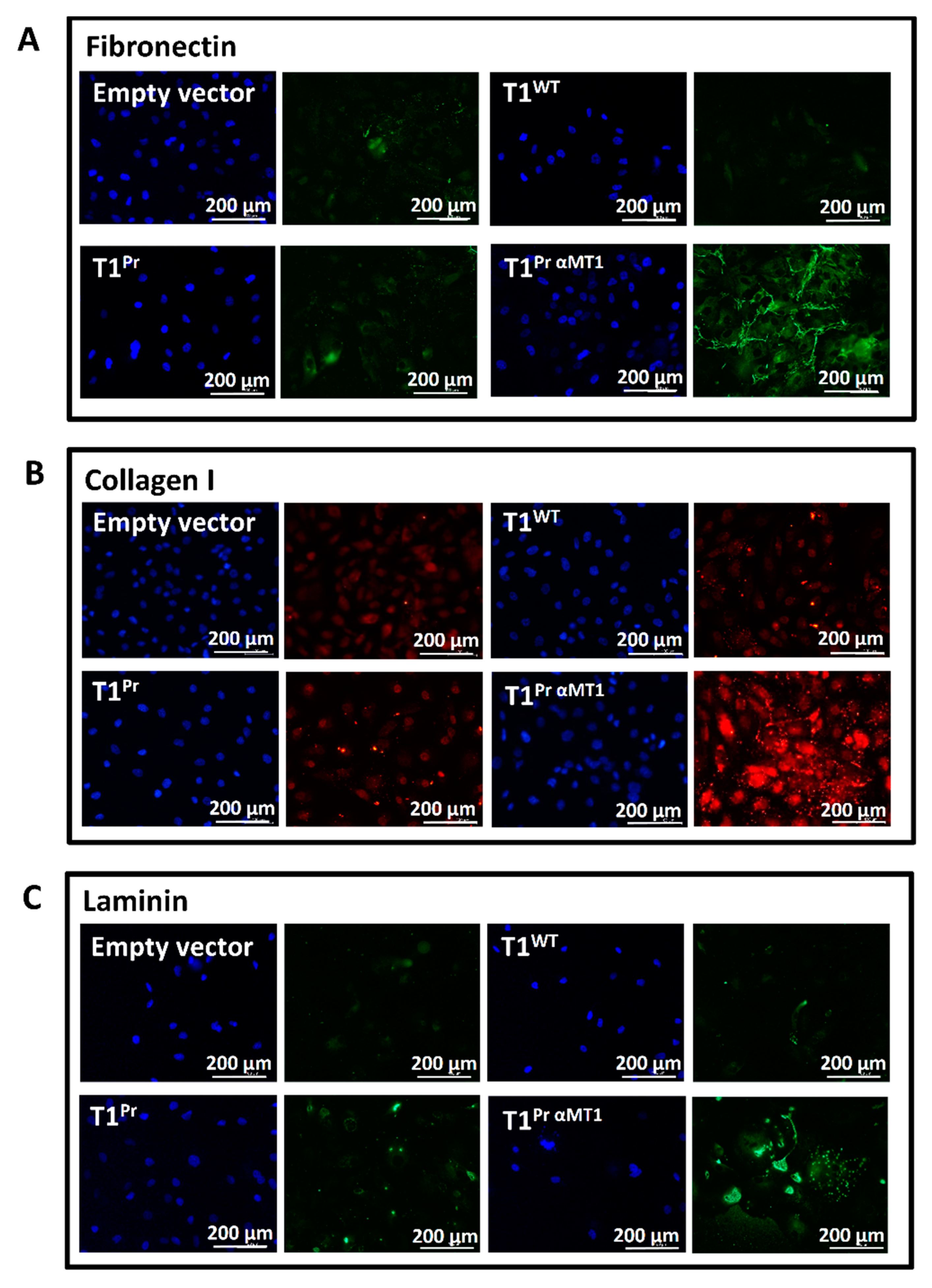 Molecules 24 00255 g006 Molecules 24 00255 g006
