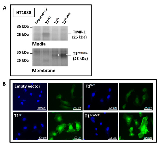 Molecules 24 00255 g0a1