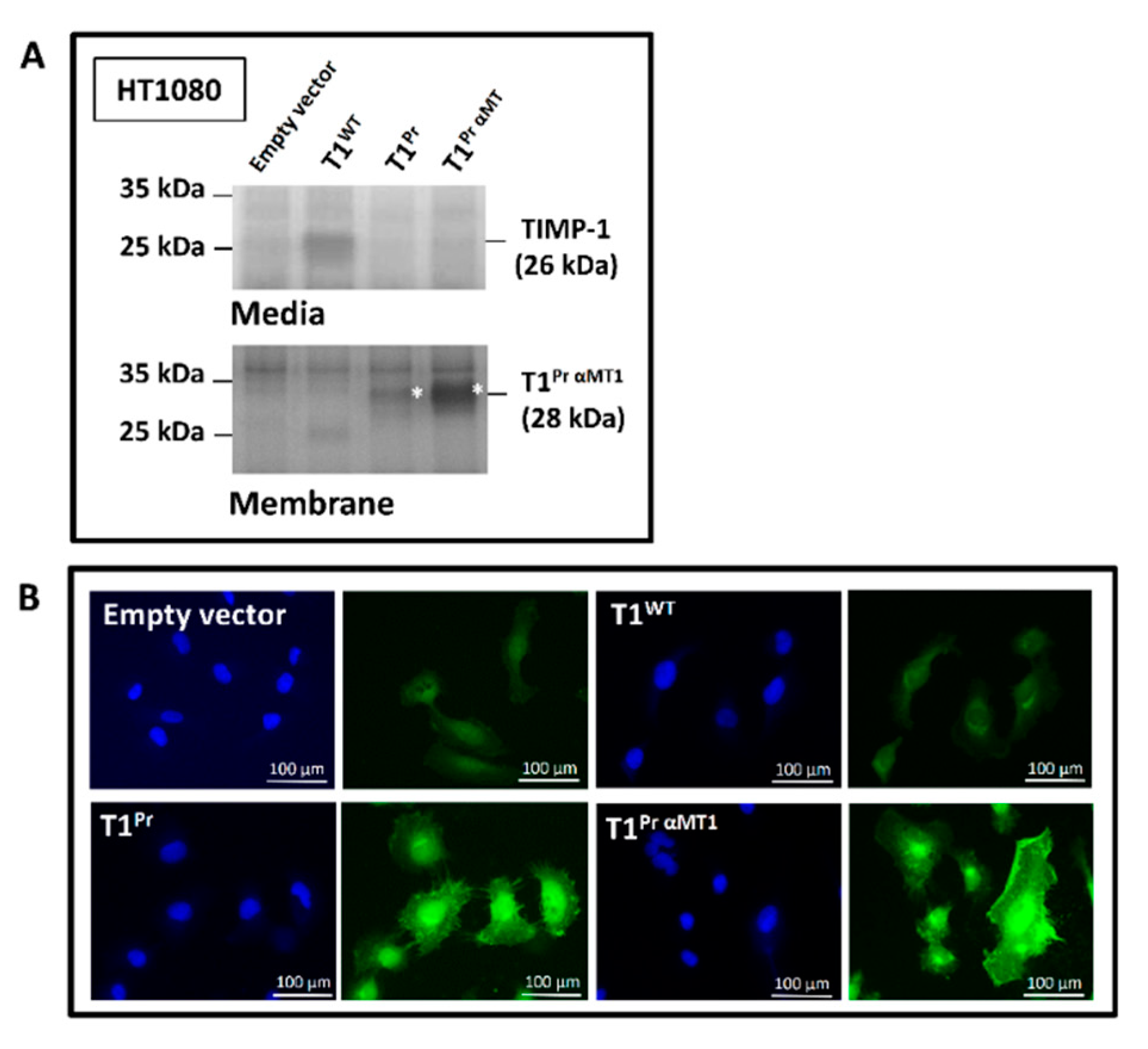 Molecules 24 00255 g0a1 Molecules 24 00255 g0a1