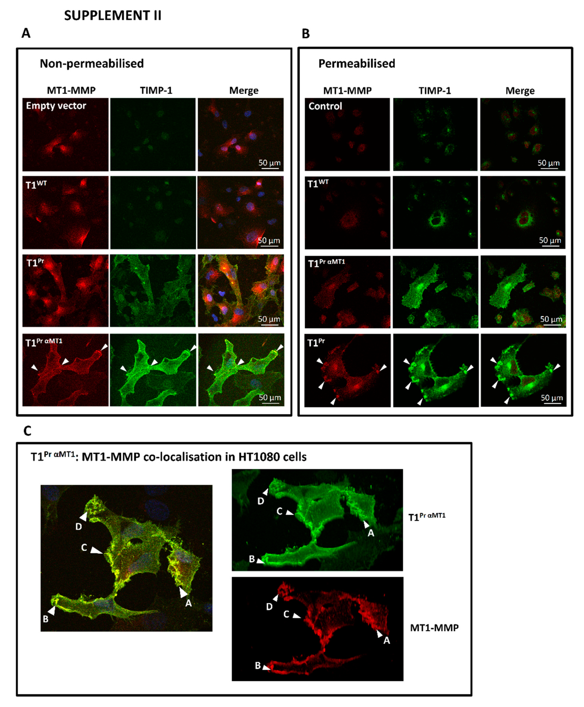 Molecules 24 00255 g0a2 Molecules 24 00255 g0a2