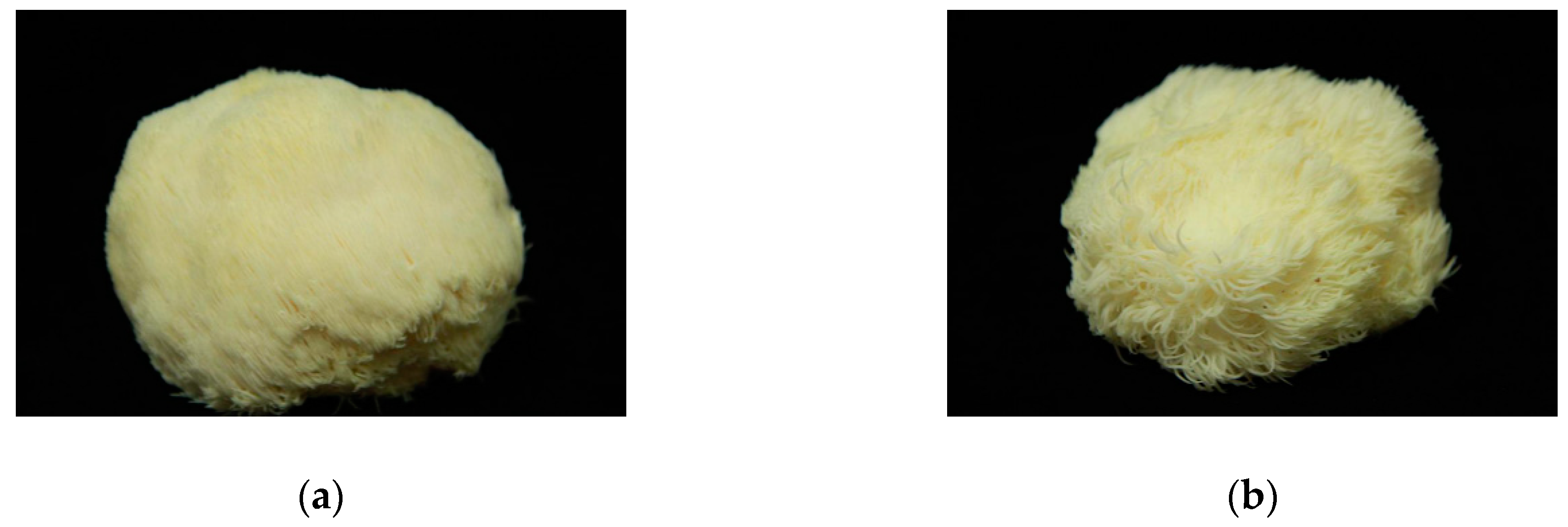 Molecules 24 00262 g001