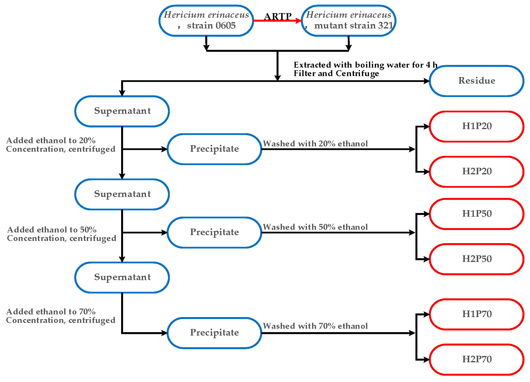 Molecules 24 00262 g007