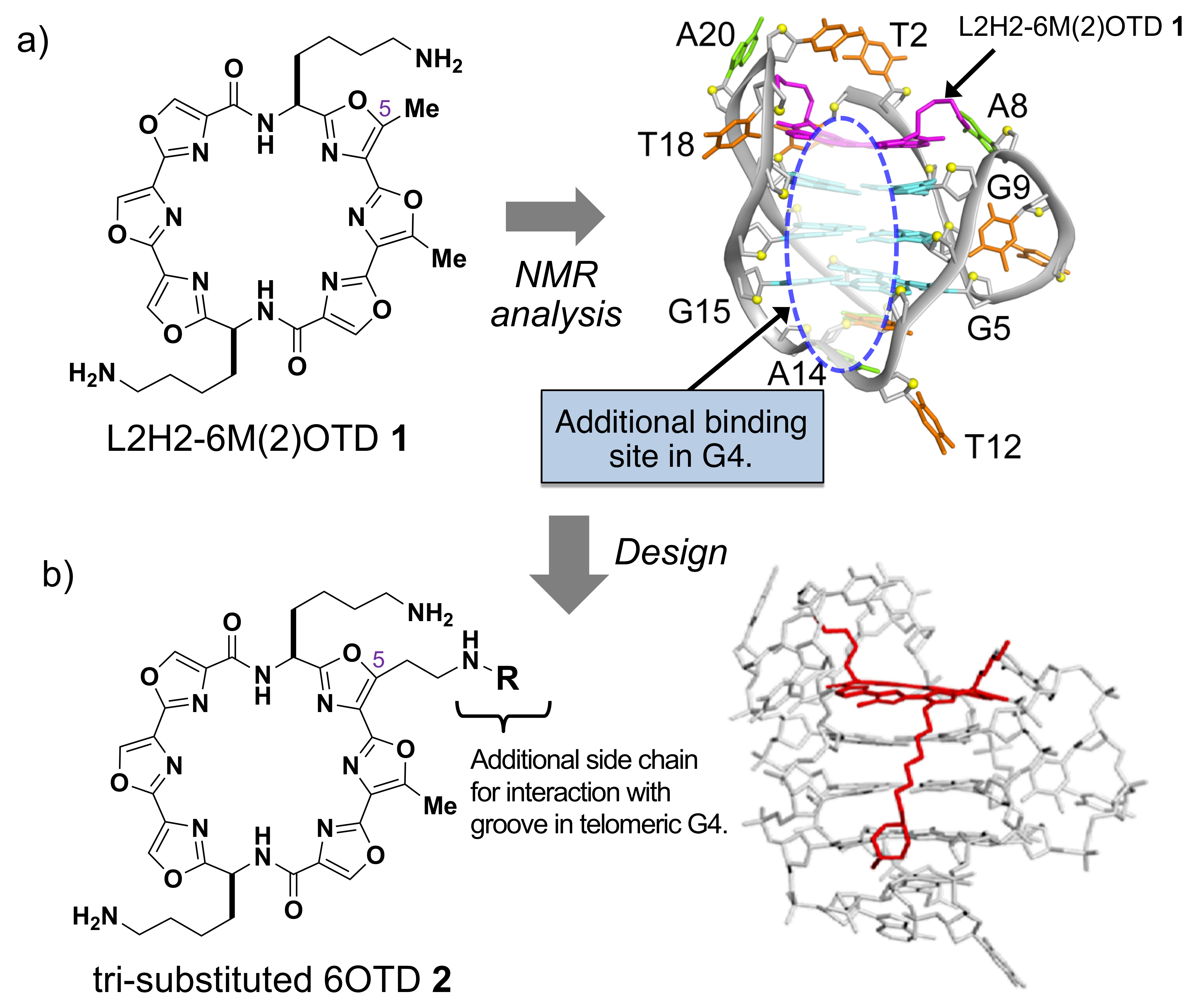 Molecules 24 00263 g001