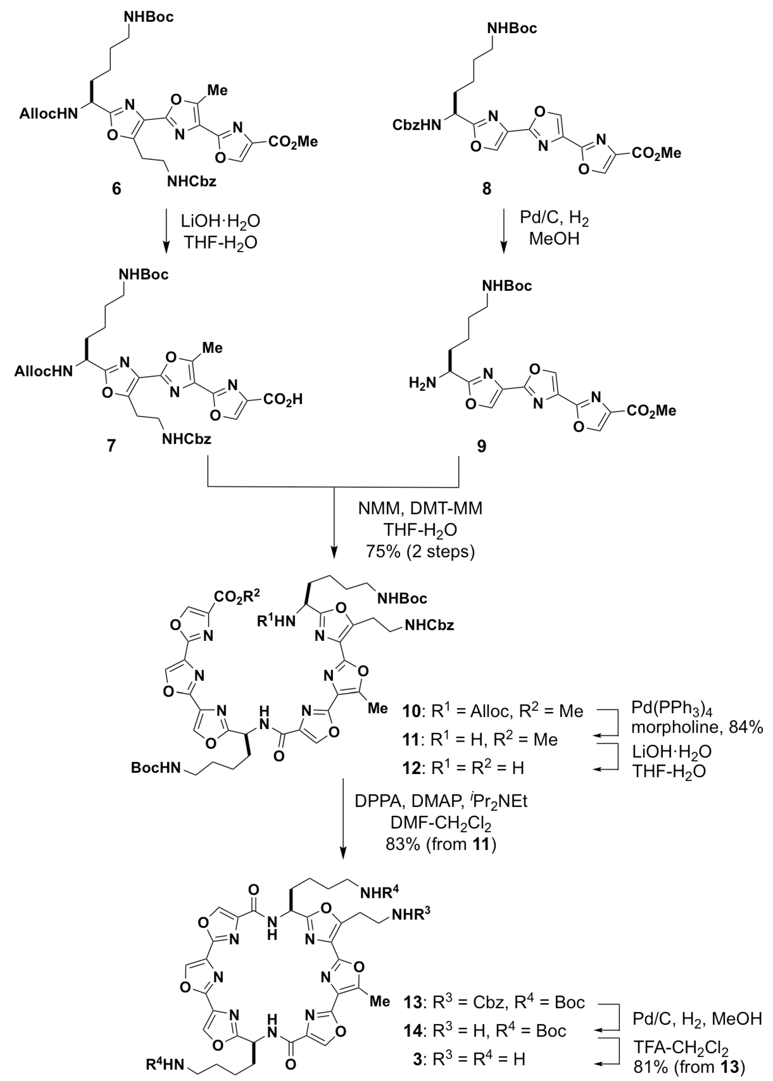 Molecules 24 00263 sch001