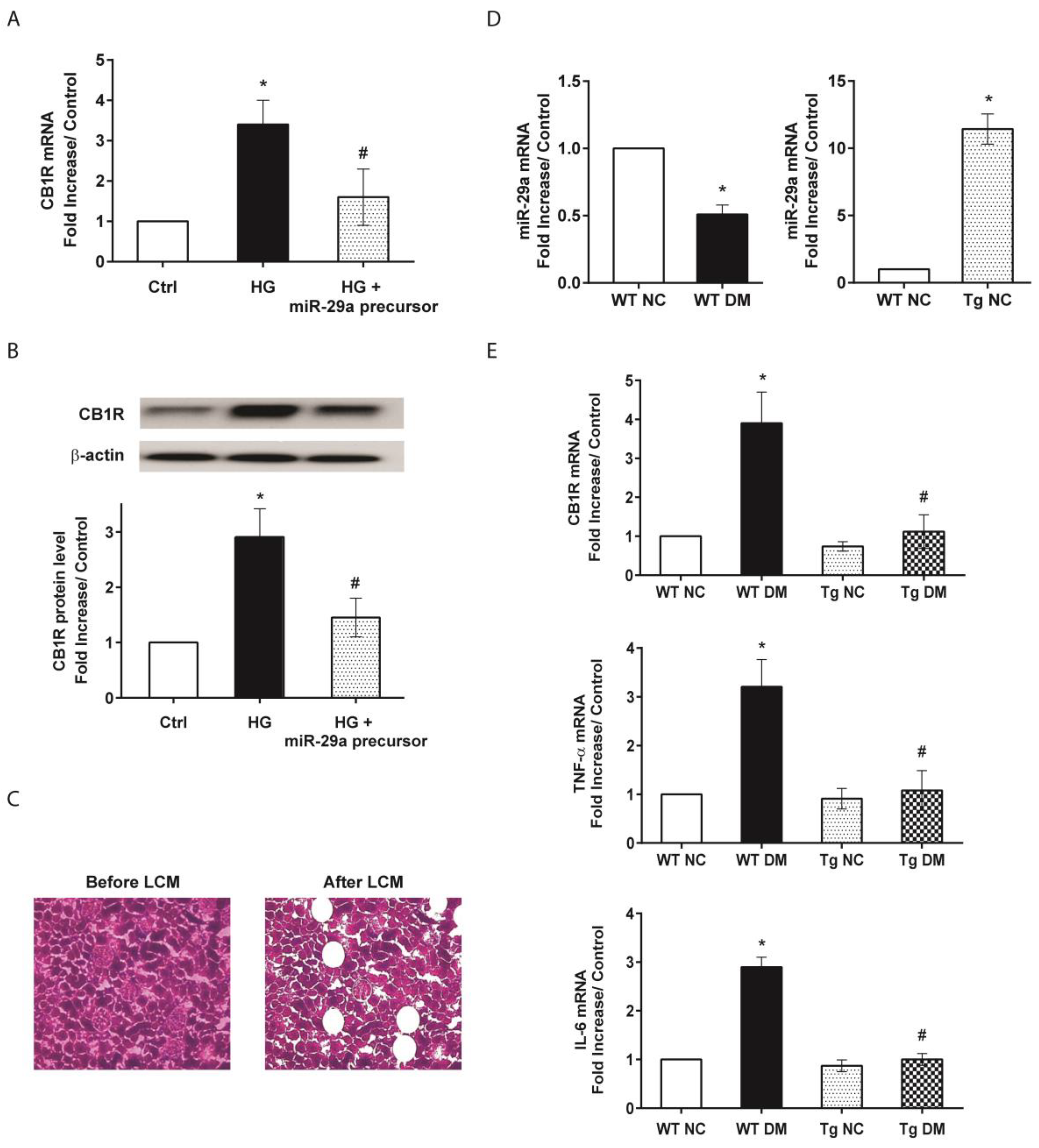 Molecules 24 00264 g001 Molecules 24 00264 g001