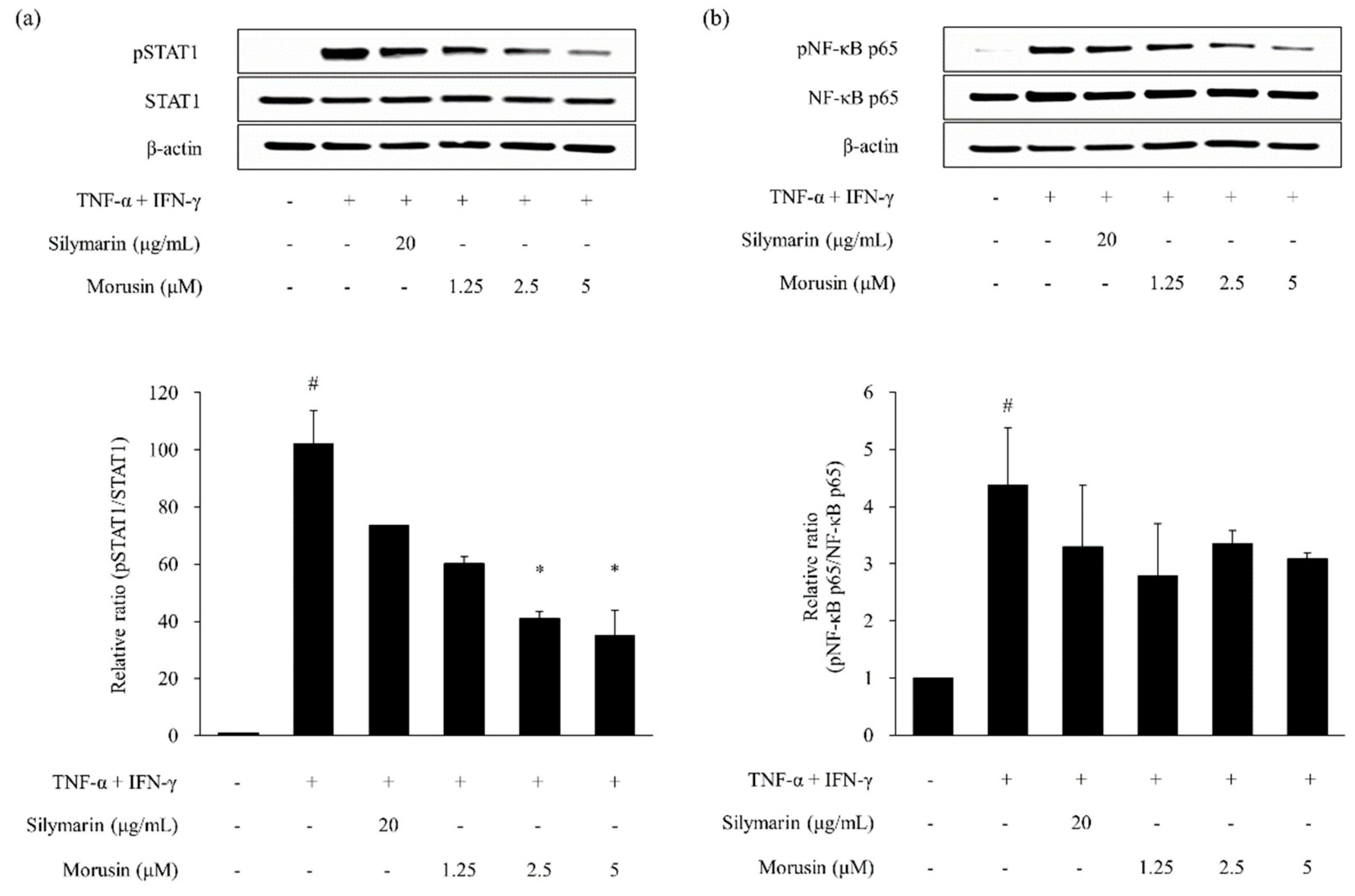 Molecules 24 00265 g005 Molecules 24 00265 g005