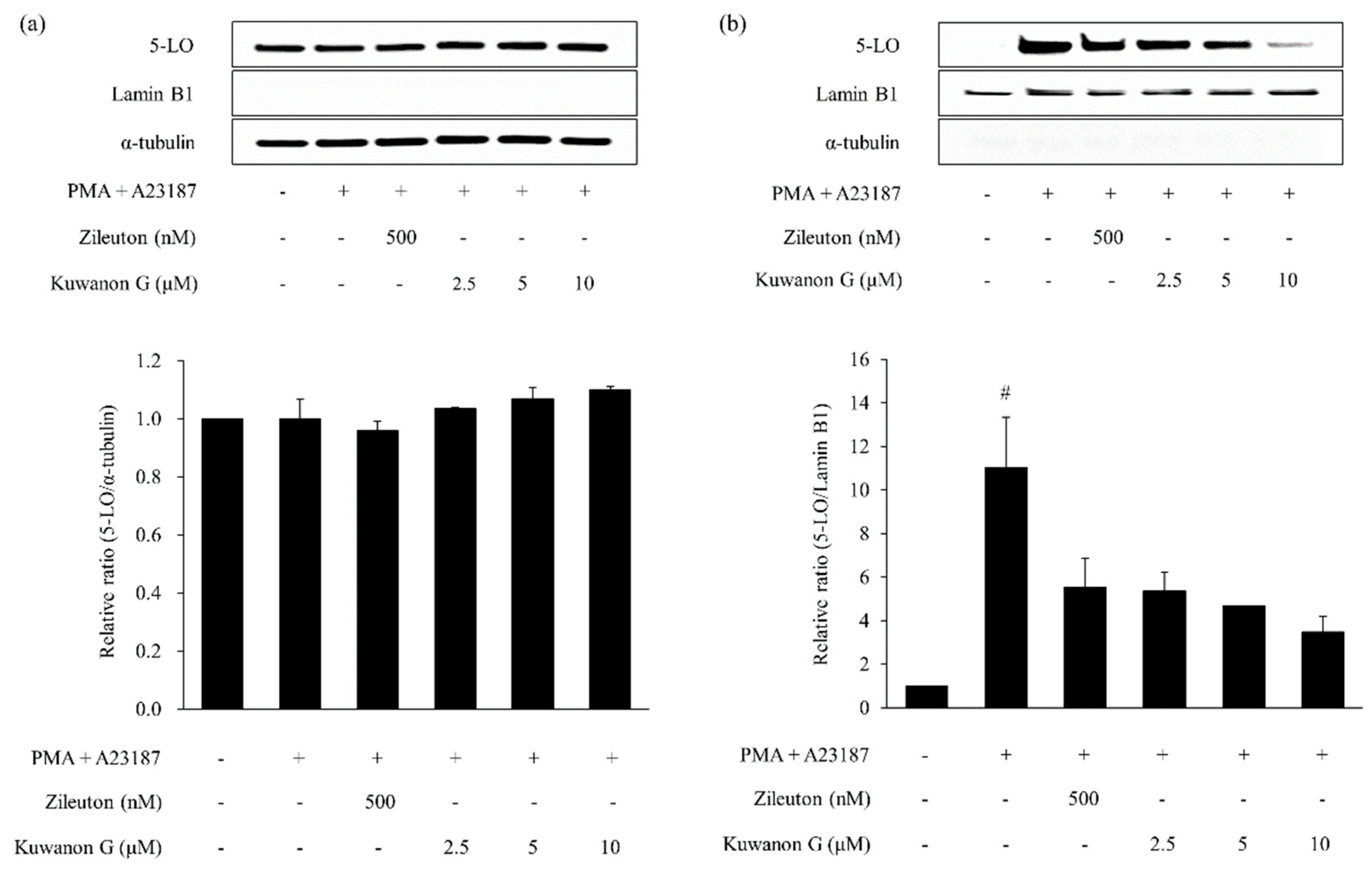 Molecules 24 00265 g007 Molecules 24 00265 g007