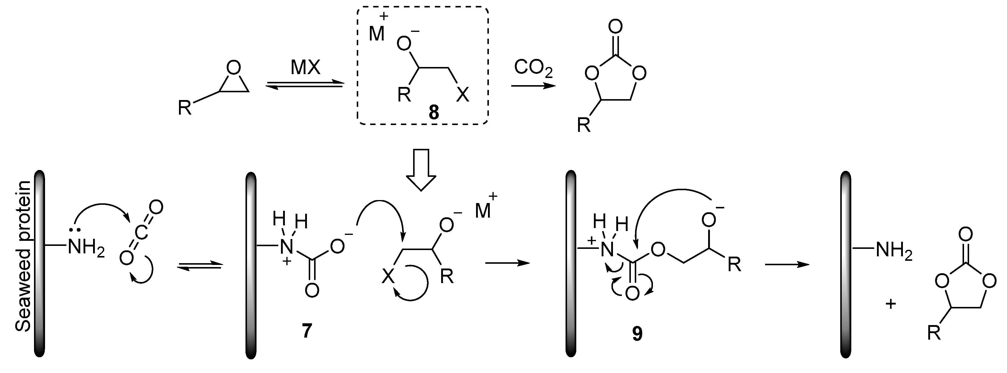 Molecules 24 00269 sch003 Molecules 24 00269 sch003