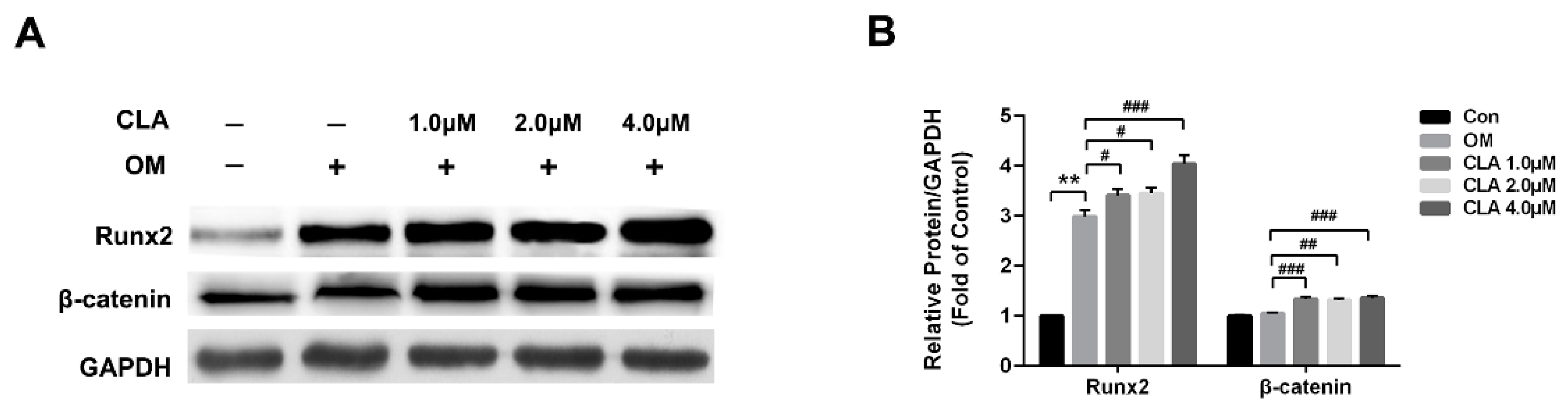 Molecules 24 00271 g004