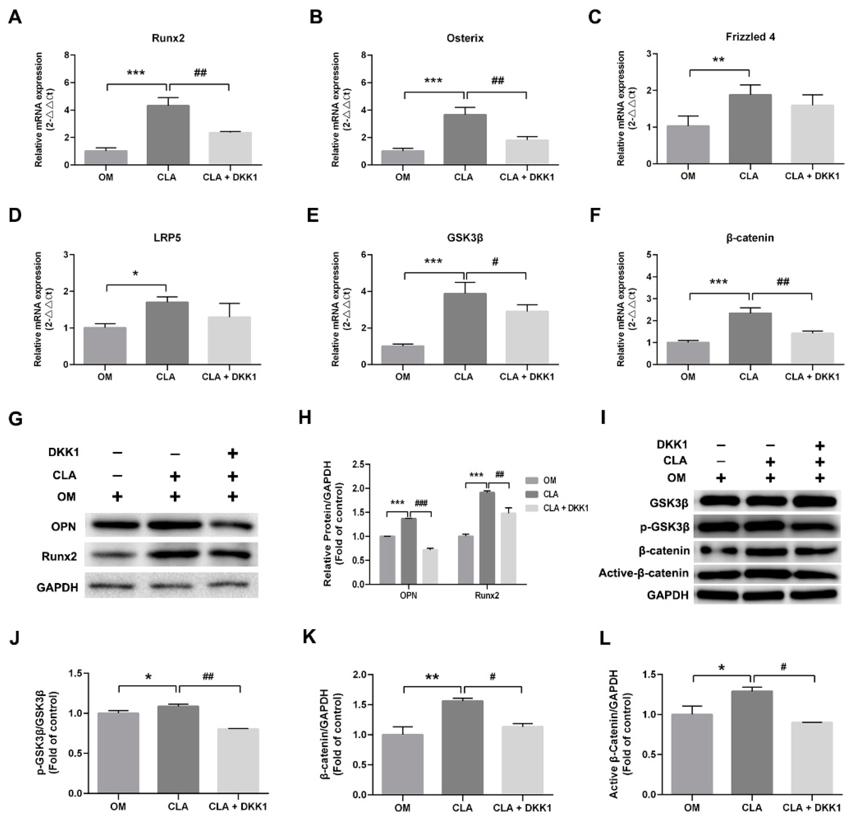 Molecules 24 00271 g007