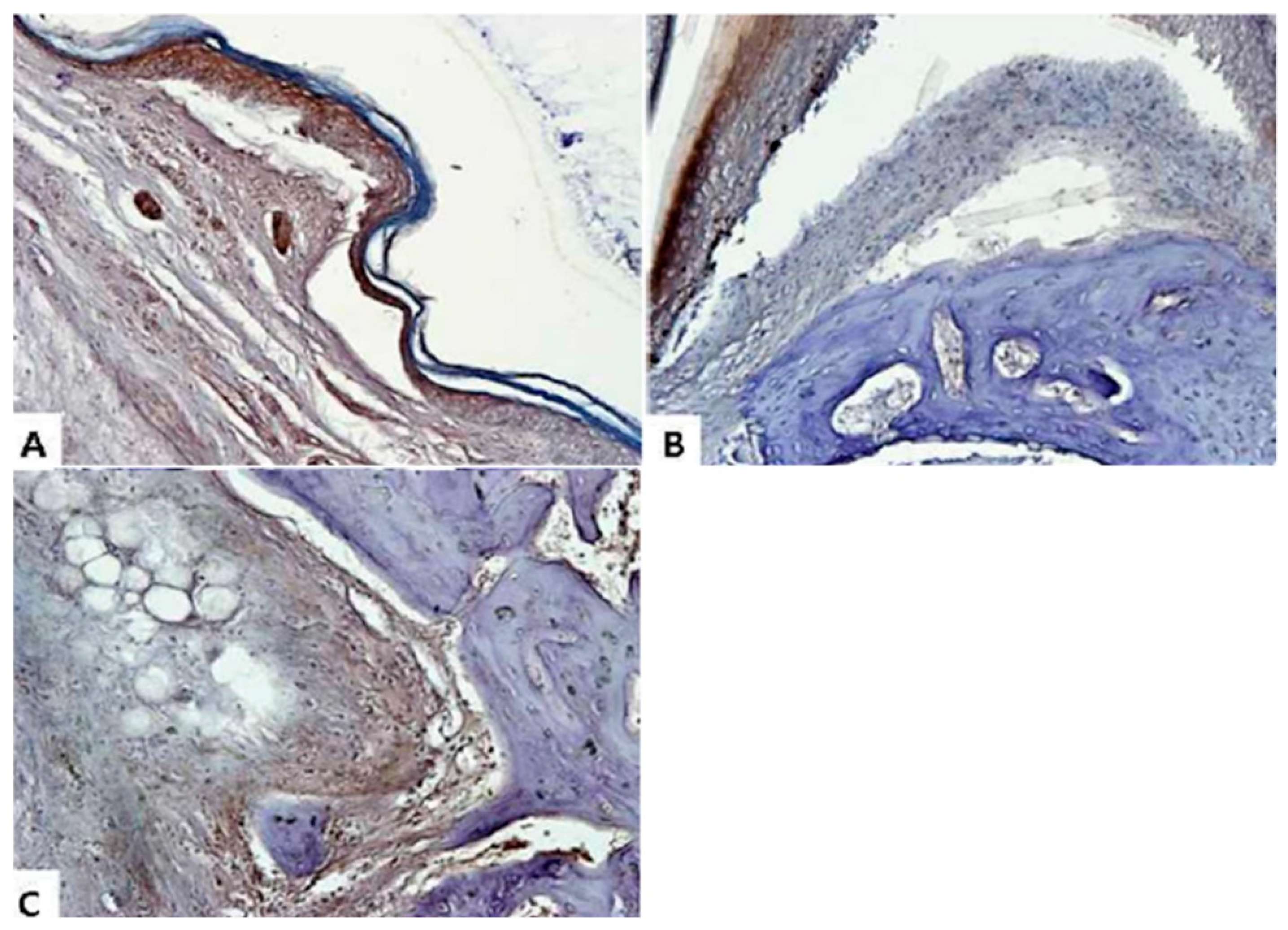 Molecules 24 00276 g008